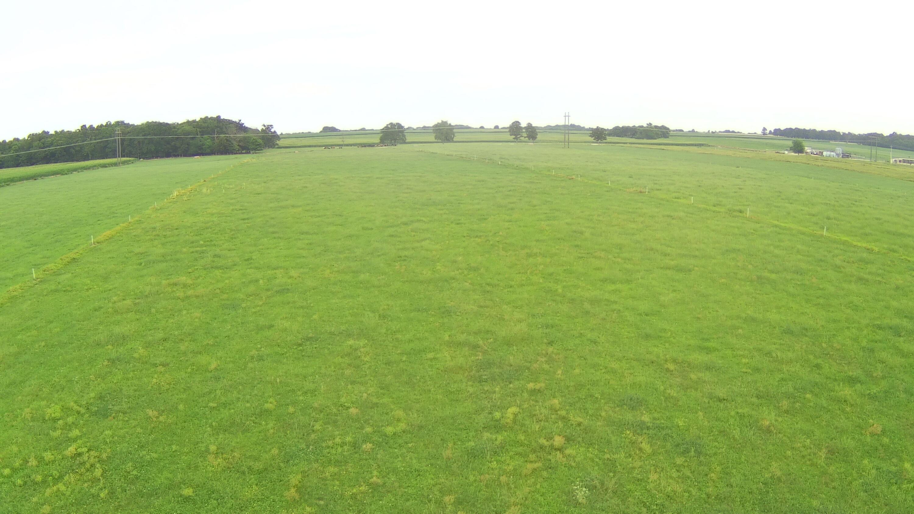 N/A - Farm