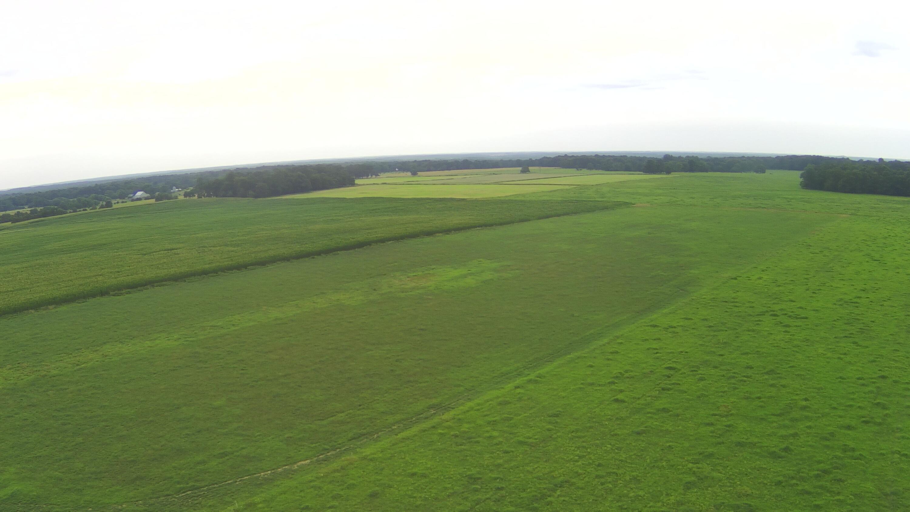 400 ACRES AND 3 HOMES! This 399.7 acres in Newton County is a terrific combination of crop land, a dairy and pasture land perfect for cattle or any other farming. This property has multiple wells, is fenced and cross fenced with 45 paddocks, barns, holding pen, calving shed, a working corral system and is able to be divided. The property also includes a clay lined effluent system, a shop, dairy barn with office and pump room, concrete automatic waterers and 2 inch water lines. If you are not interested in purchasing the dairy equipment, the owners will remove the dairy equipment and adjust the price accordingly. Soil maps are available. Division of land prices are as follows:  20 to 40 acres $6,250 an acre.40 acres or more $5,500 an acre.