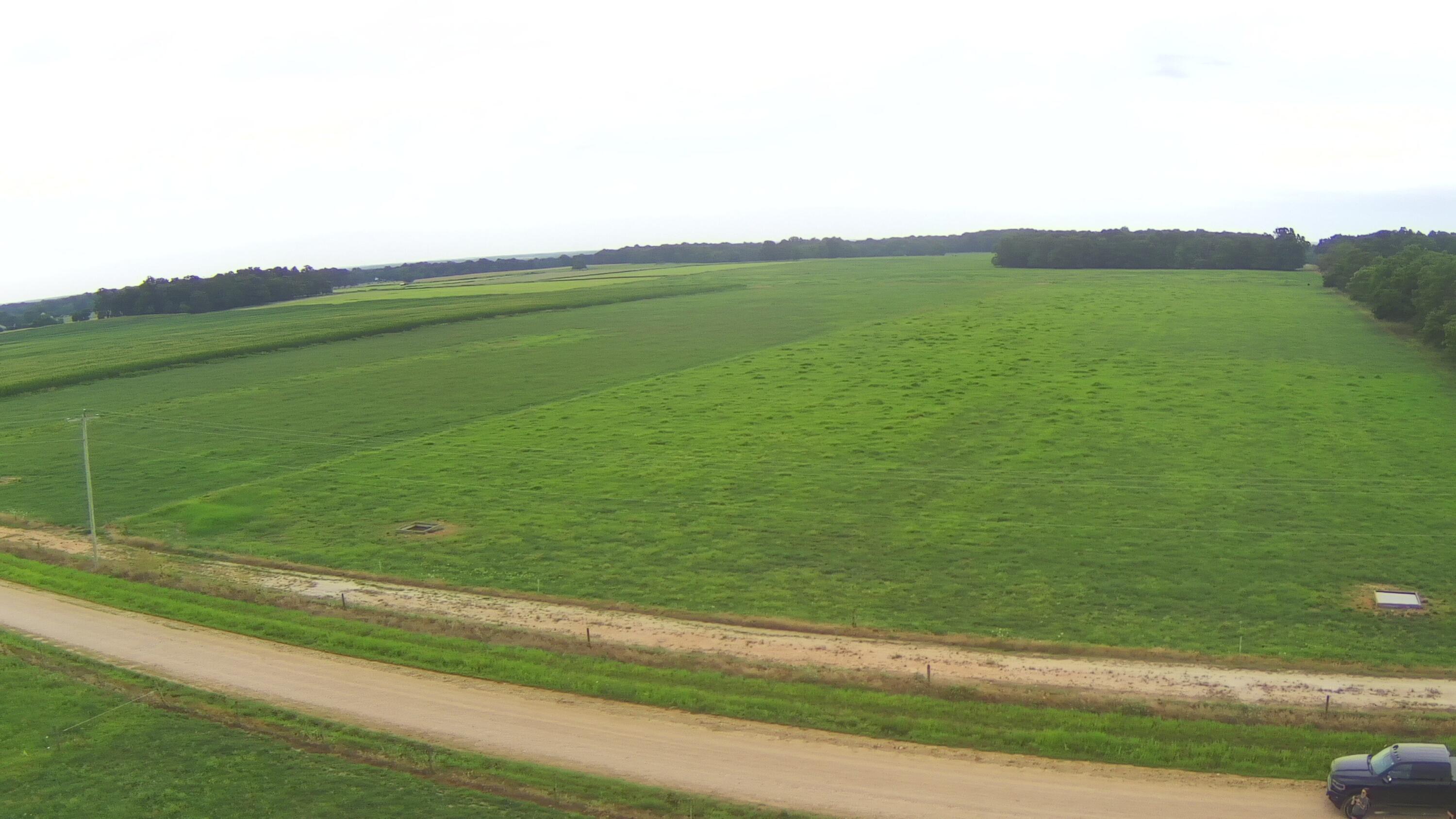 N/A - Farm
