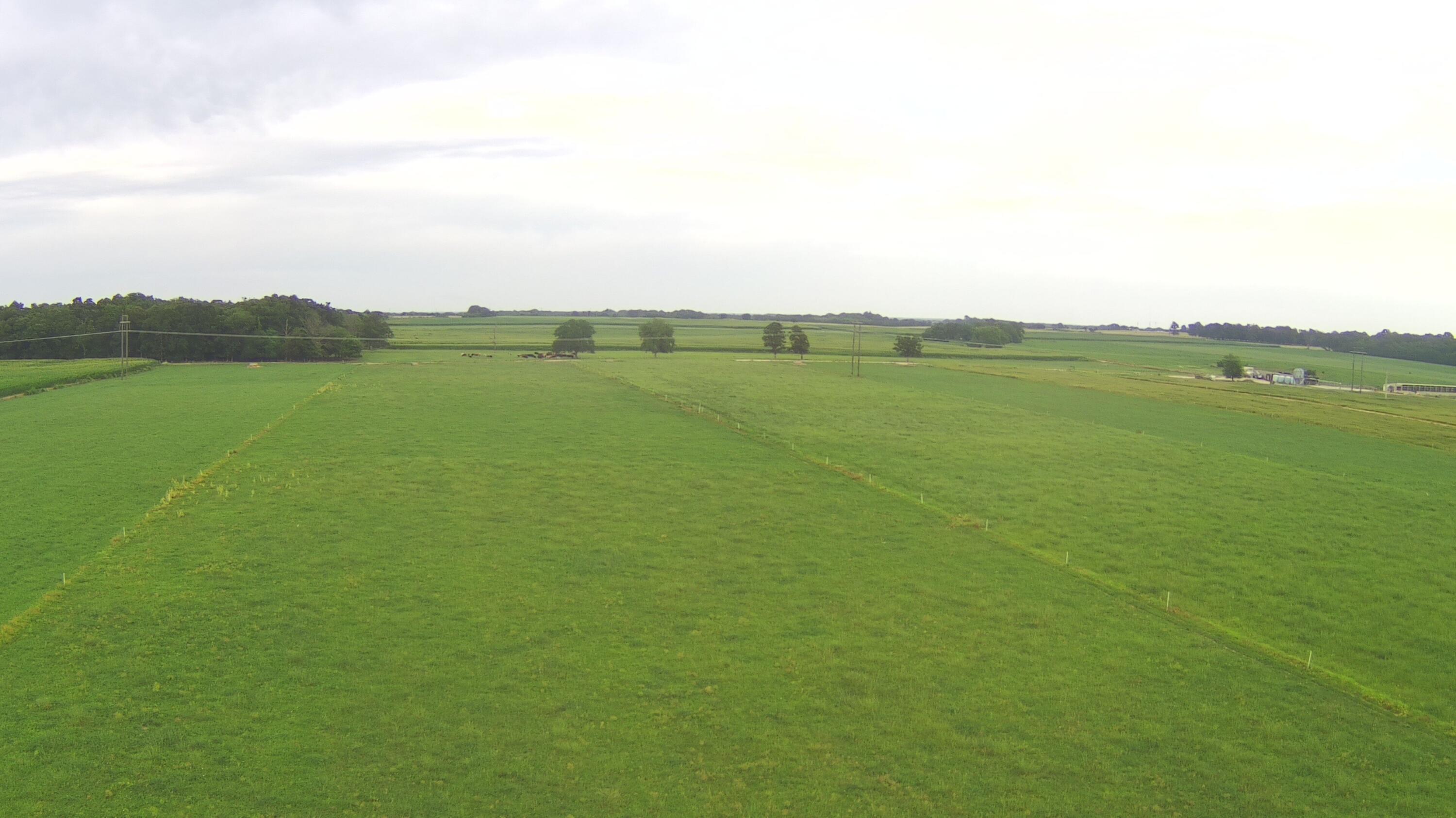 N/A - Farm