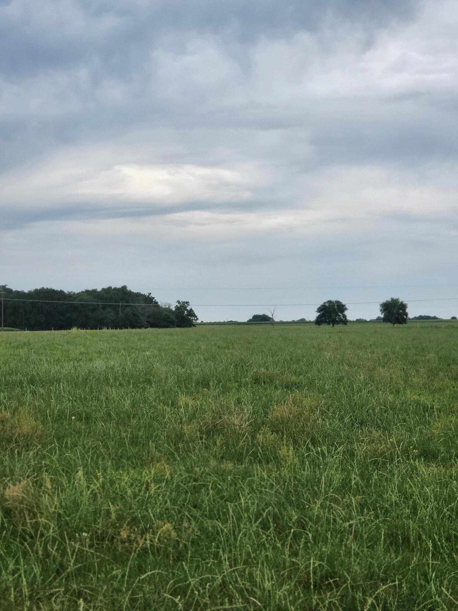 N/A - Farm