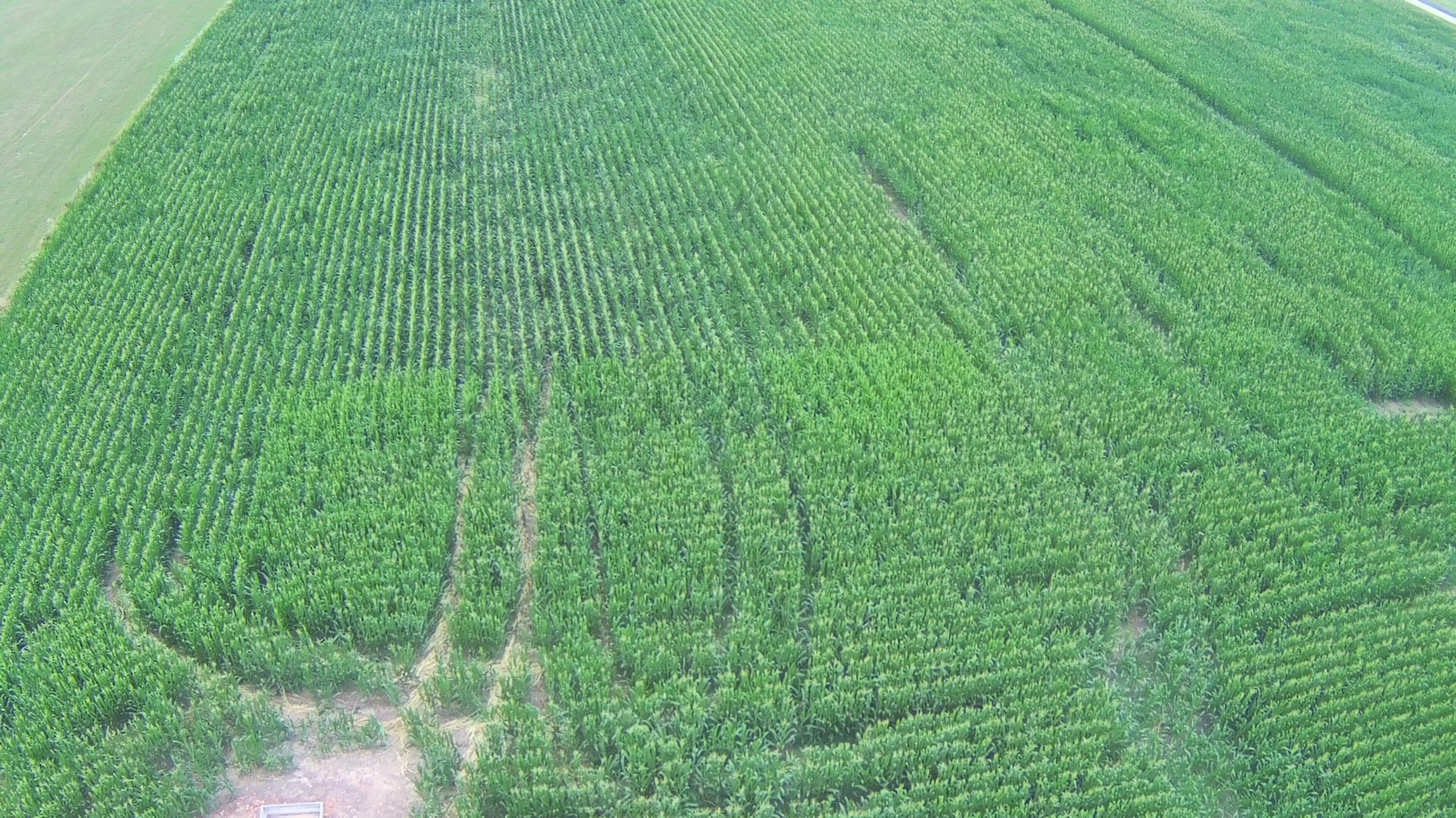 N/A - Farm