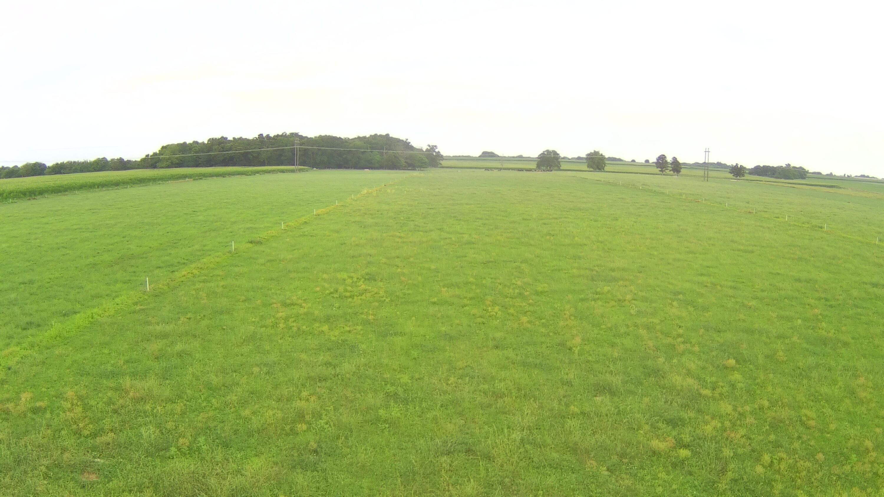 N/A - Farm