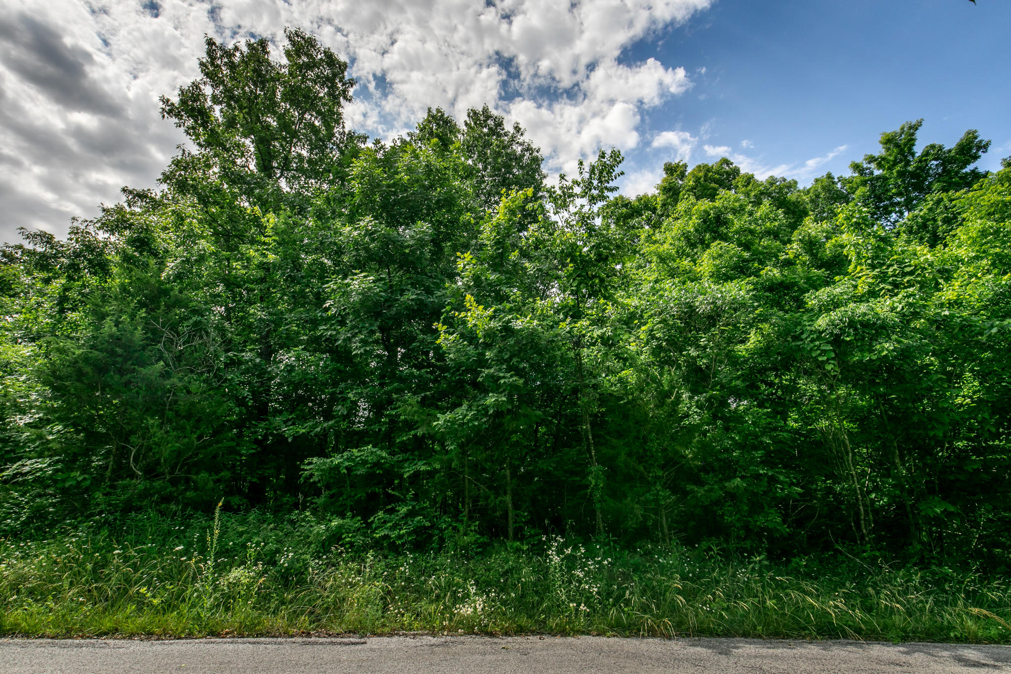 3.01 acre, mostly wooded lot in beautiful Pebble Creek Subdivision in Nixa ~ one of Nixa's premier developments. Country feel, surrounded by beautiful homes, just minutes to dining, shopping and more!