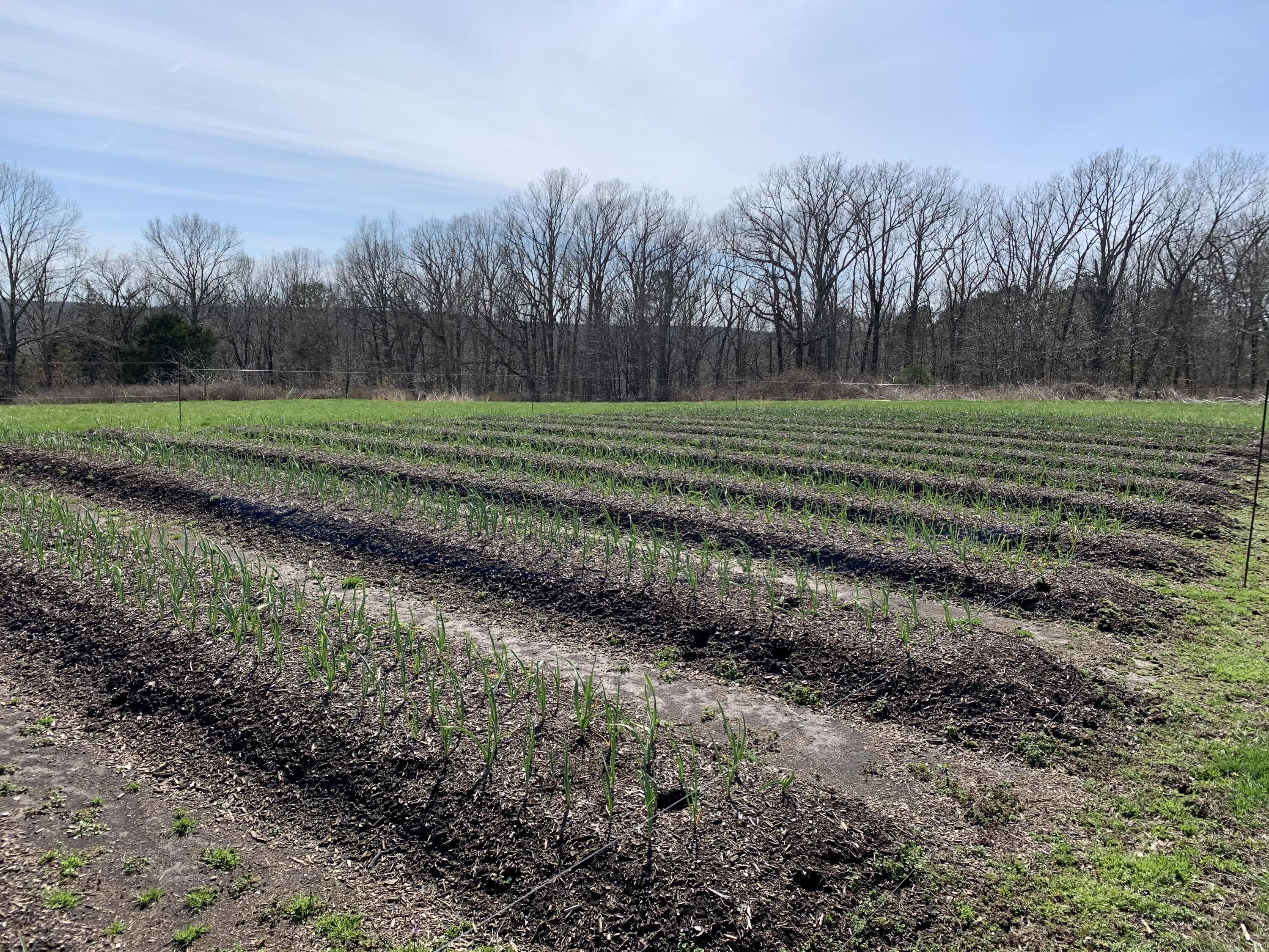 N/A - Farm