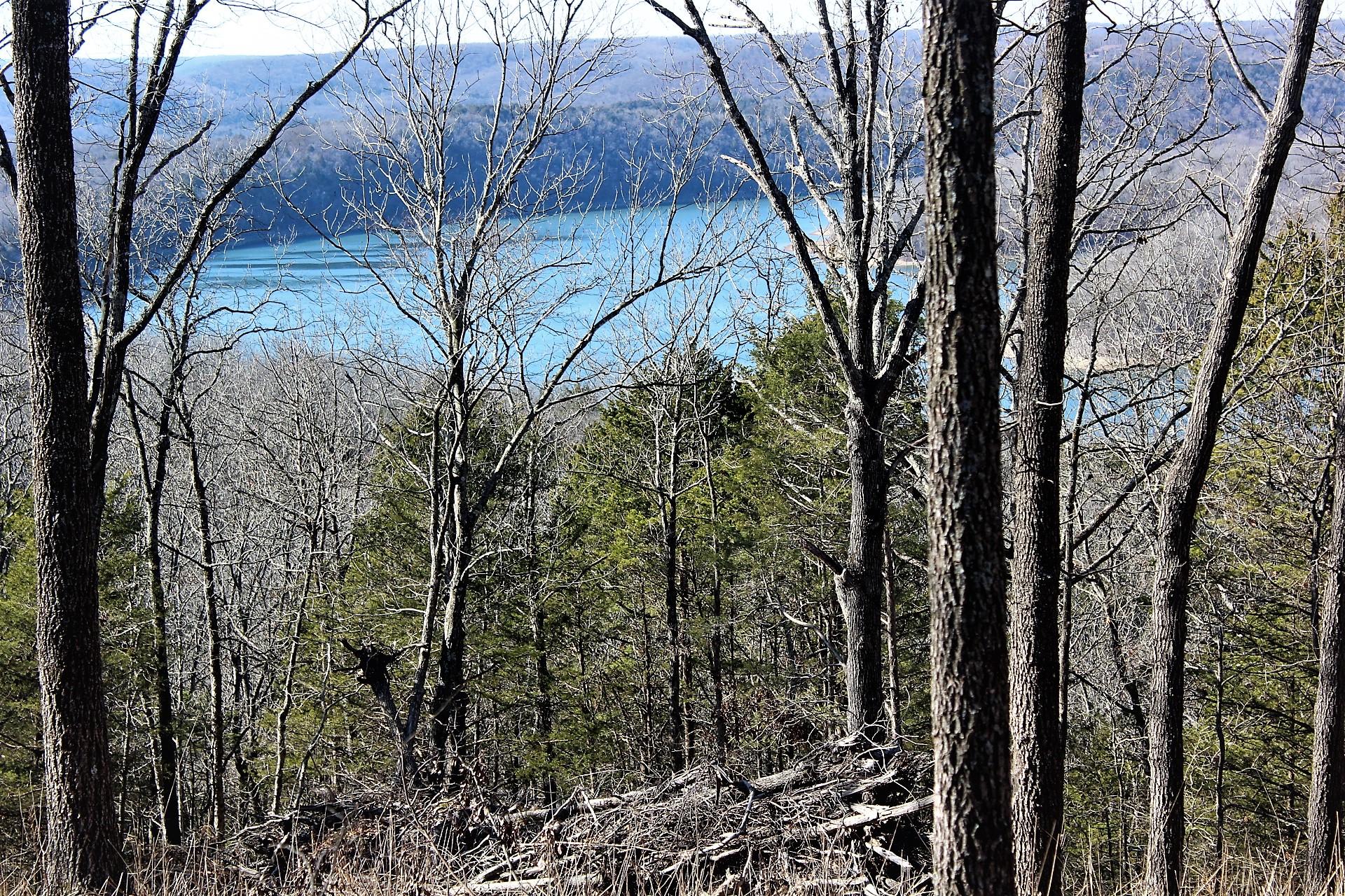 67.1 +/- Lakefront/Lakeview Acres with sounds of the lake & nature  would make an excellent subdivision or a prviate retreat. Already has an Unrecorded Plat with Lots surveyed and ready to move forward. or enjoy this for a private retreat.  Close enough to Branson for all the shows and entertainment yet away from the busy activity. .  Dock zoning for 20 stall dock is available close by.  Call today as this is a lake deal.
