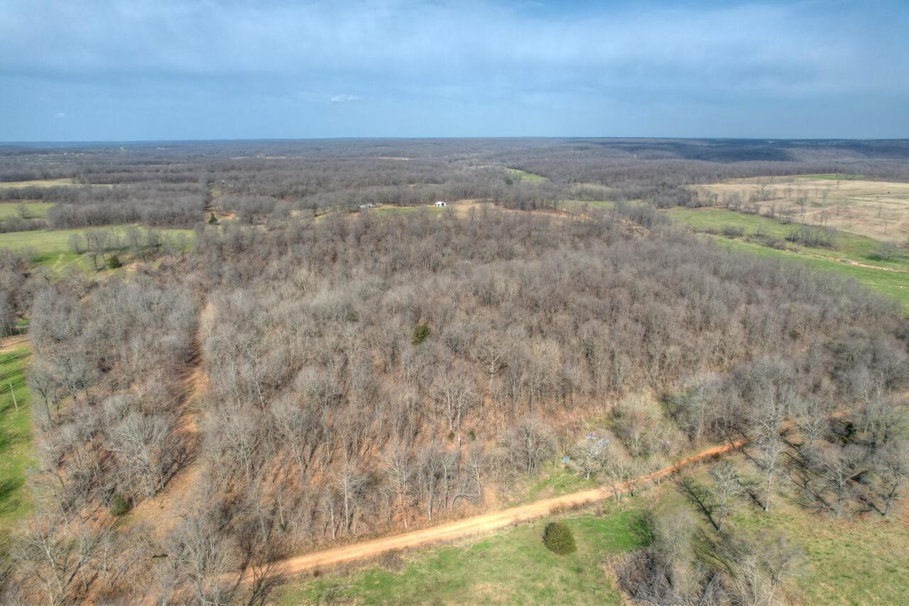 Beautiful Wooded and rolling 20 acres in Southwest Missouri. Well, Septic, and Electric all on site and will convey in ''as is'' condition. Great place to build your Ozark Hideway Home with several possible building sites. Lots of wildlife including deer and turkey. Very private location. Cash offers only please.