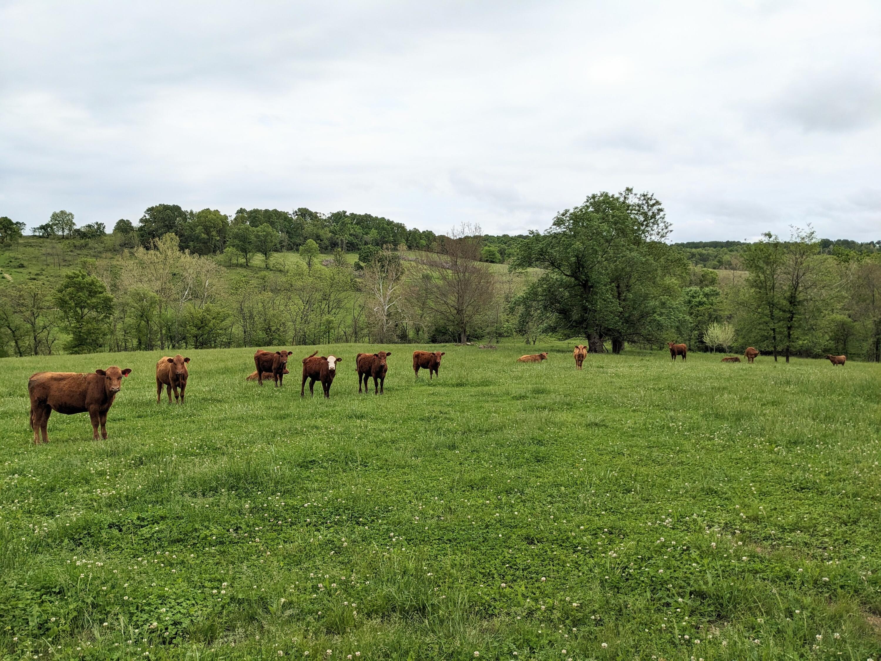 N/A - Farm