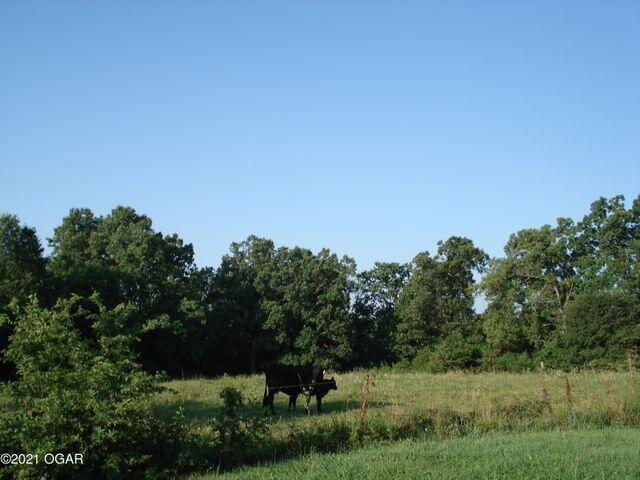 Mcdonald County Map - Land