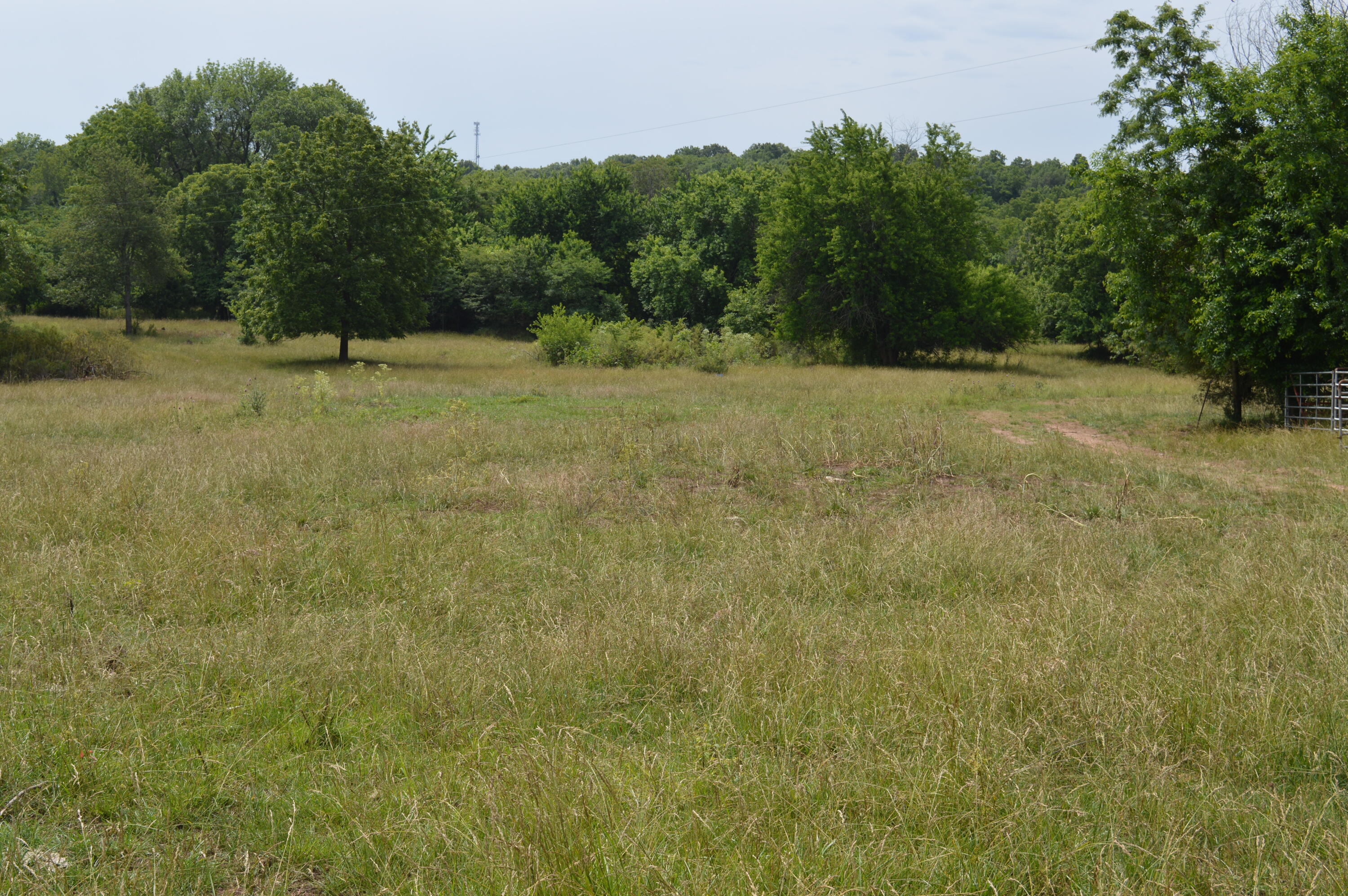 You know the Real Estate saying; Location, Location, Location!!! Here you go, rare opportunity for a large land tract within a few miles of Willard and Springfield. Lots of road frontage, live water creek, springs, timber, whitetail hunting and outstanding building sites with a gentle roll to it. For decades, one family has enjoyed the farm life and this convenient location but it's time for them to move on. Investors, developers, hunters and family residence will all find this property interesting.