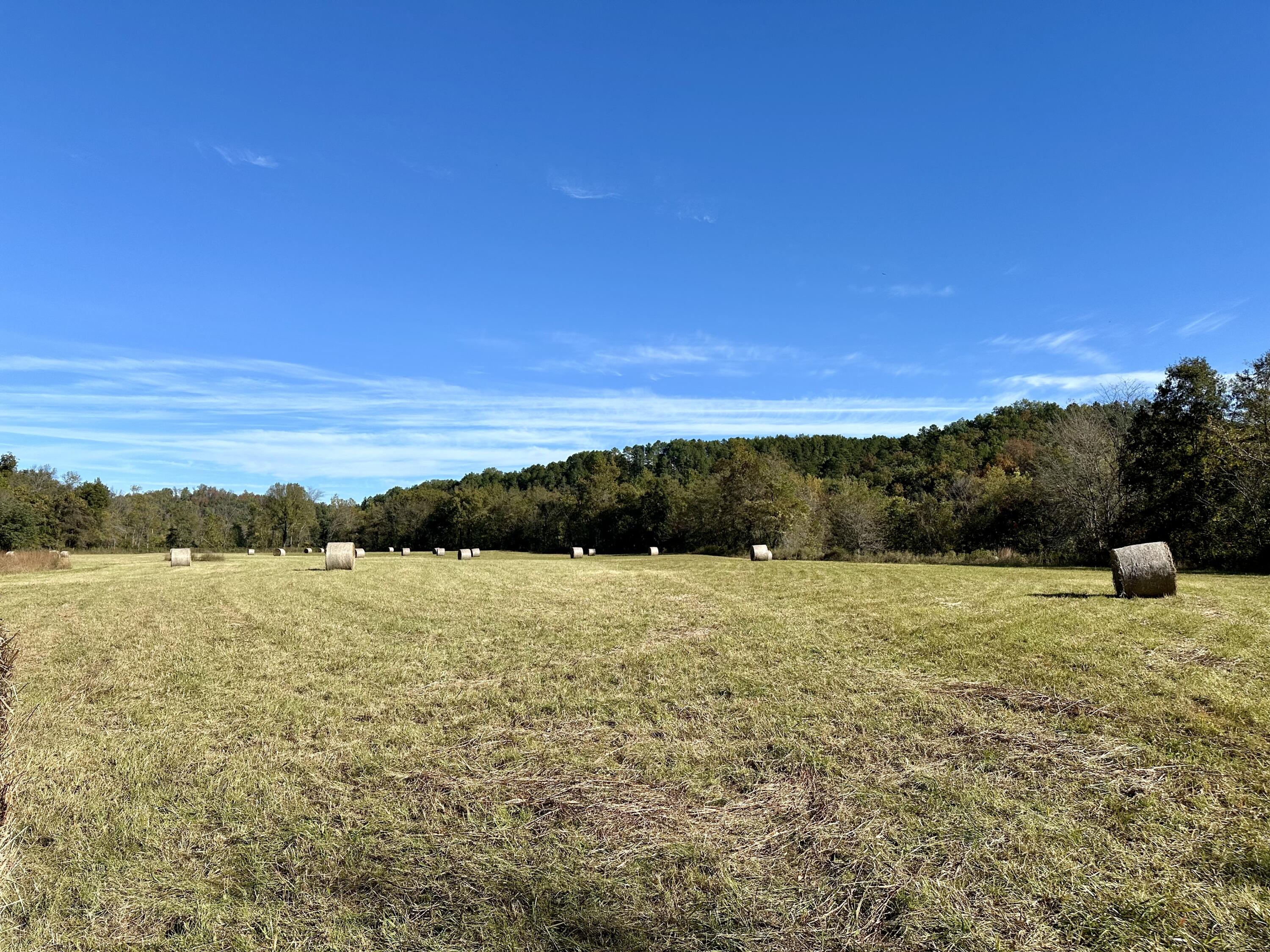 N/A - Farm