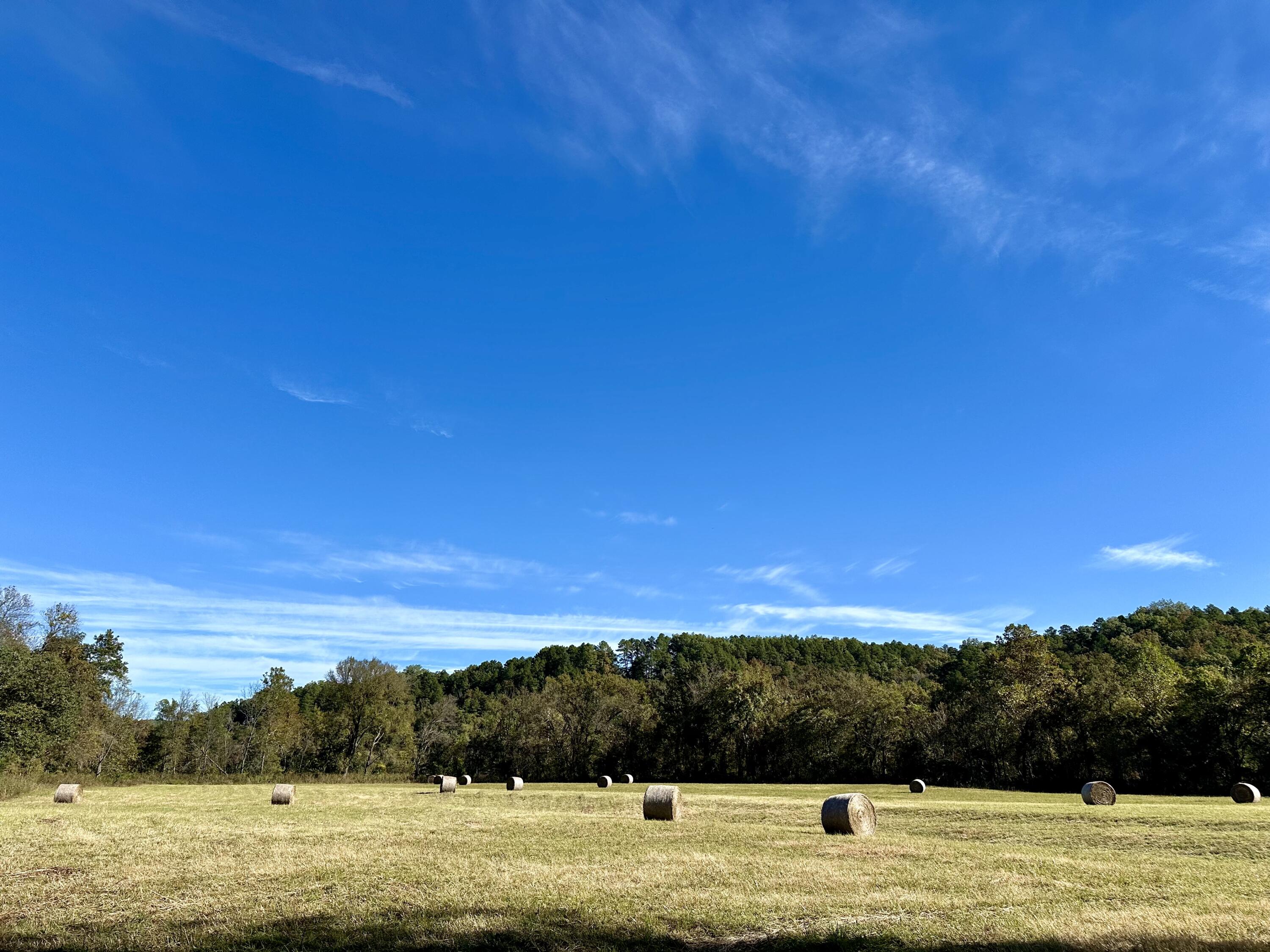 N/A - Farm