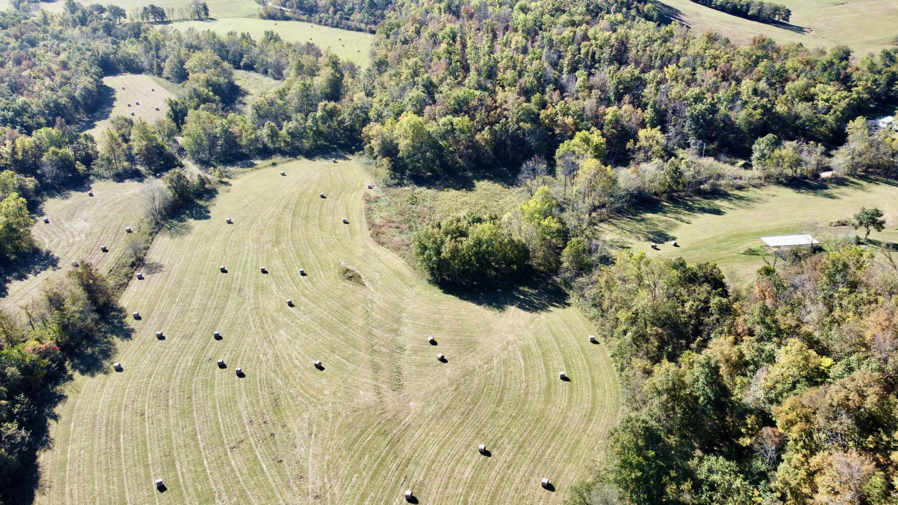 N/A - Farm