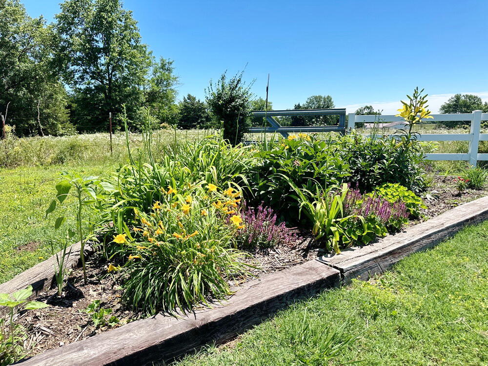 Cedar-Not in List - Residential