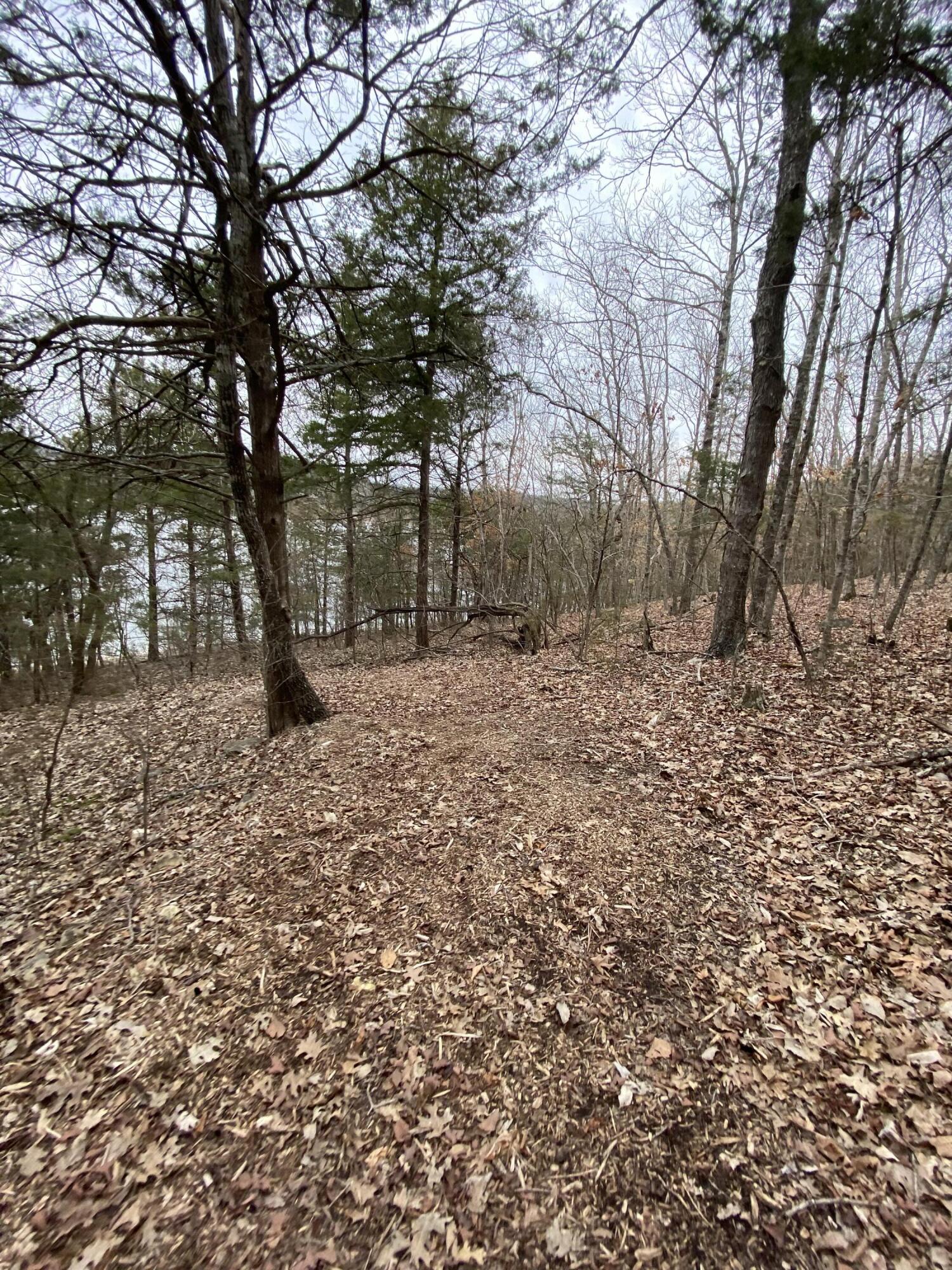 Hill Haven Estates - Land