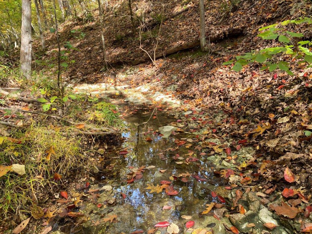 Beautiful wooded 20 m/l acres with wet weather creek that appears to be spring fed. The driveway meanders through the woods and opens to about 1 1/2 acres of clearing. The owner has marked a path with painted green arrows on the ground to lead you back to the creek from the clearing. This serene and private property is ready for your new home. Easy commute to NWA or Joplin. Horseback riding, ATV trails all near property!