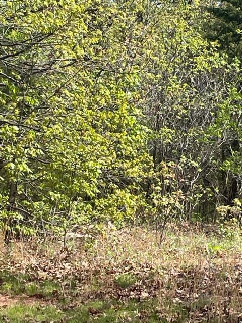 Do you like to camp in a peaceful area? This place is for you! Water & septic are in place and ready for a new camper or a new home.