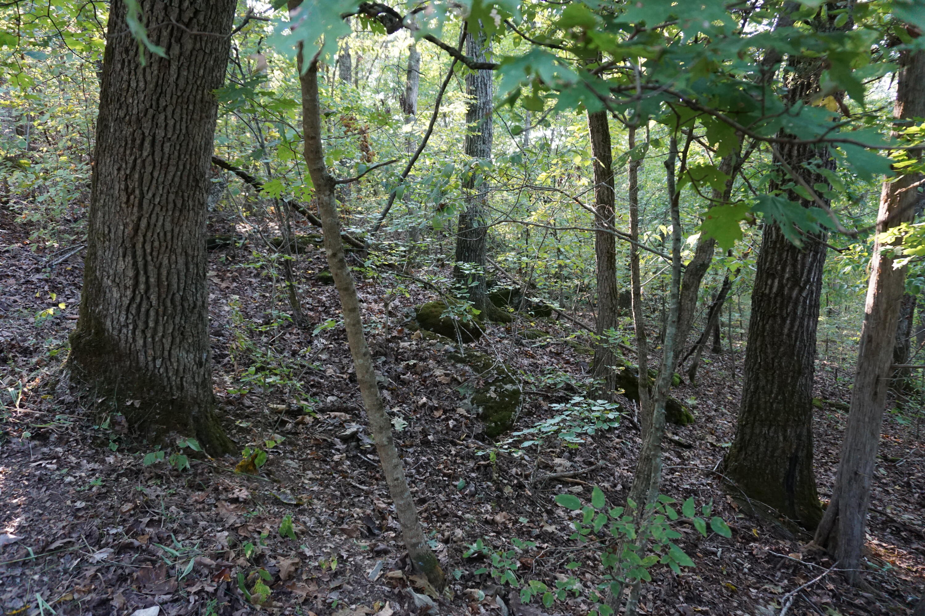 Northwood Estates - Land