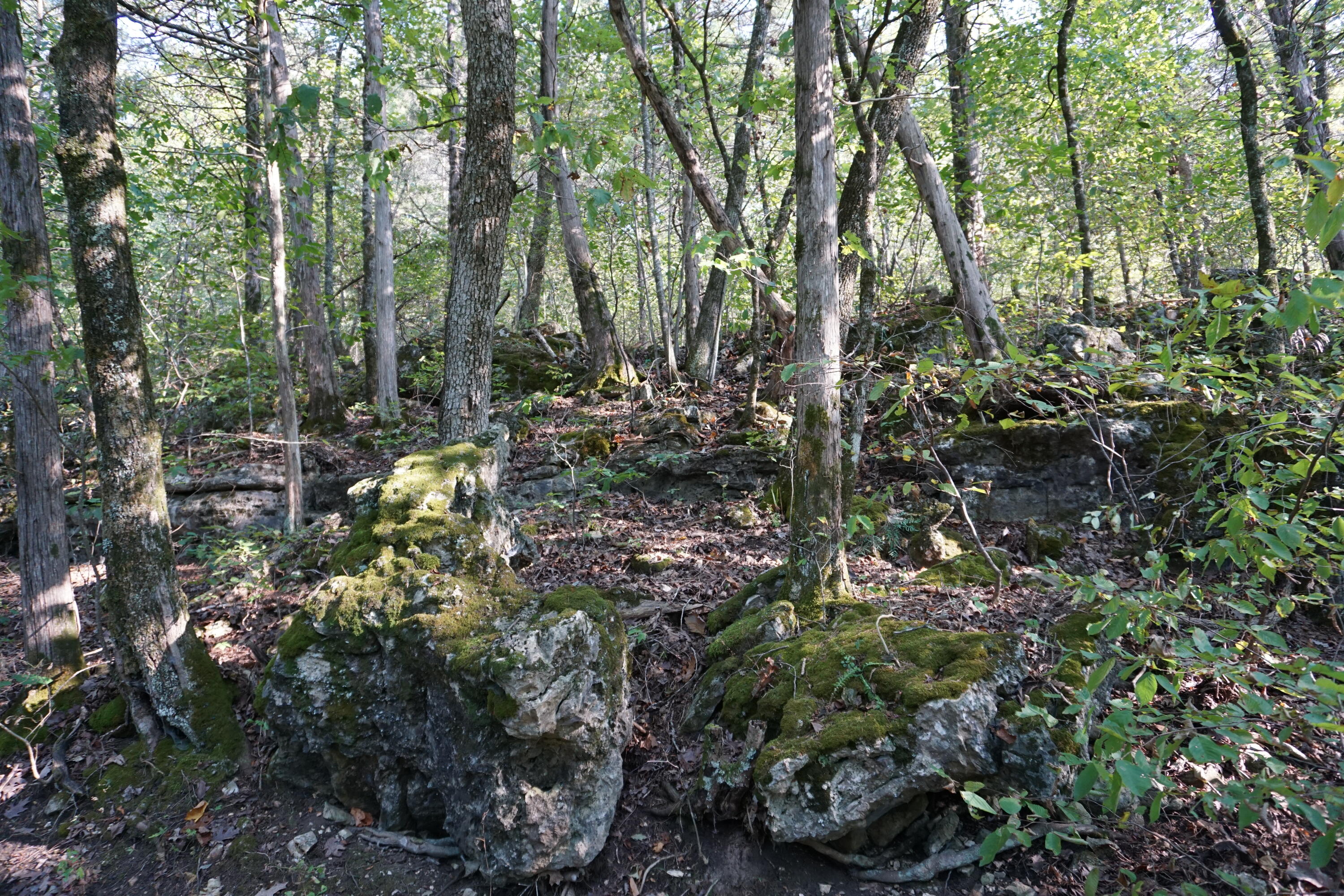 Northwood Estates - Land