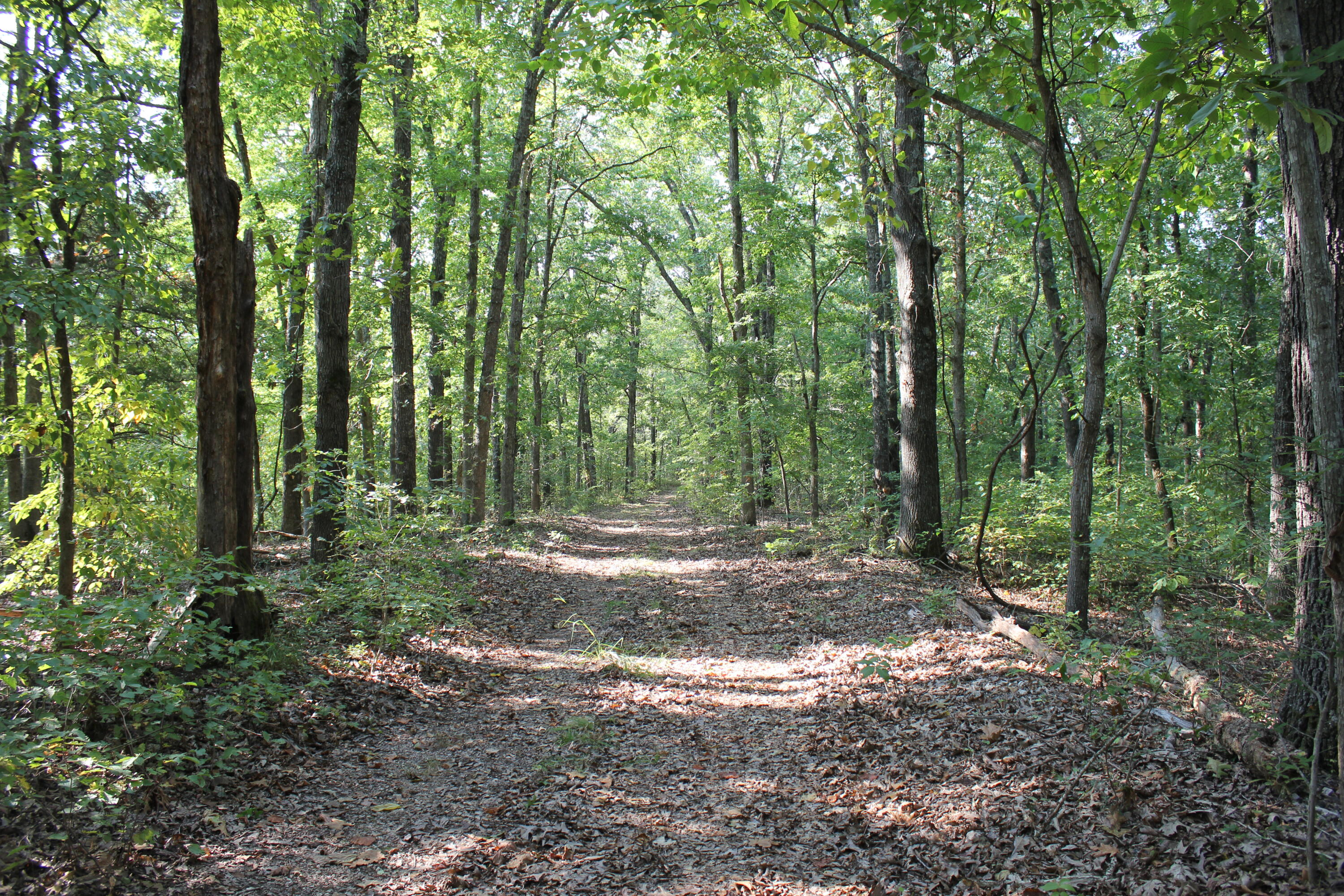 Northwood Estates - Land