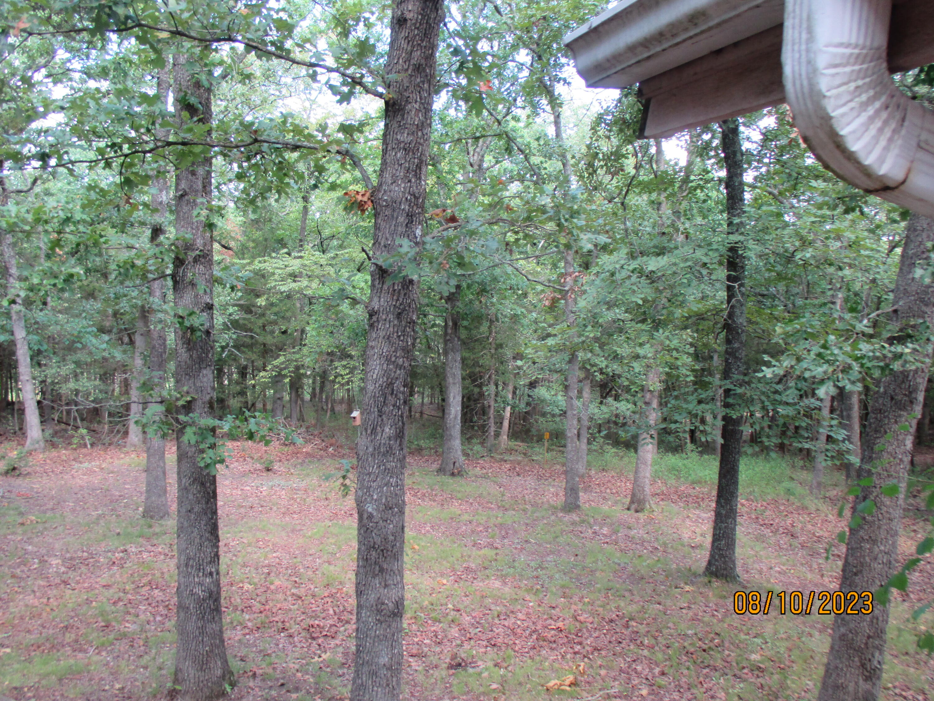 Hickory-Not in List - Residential