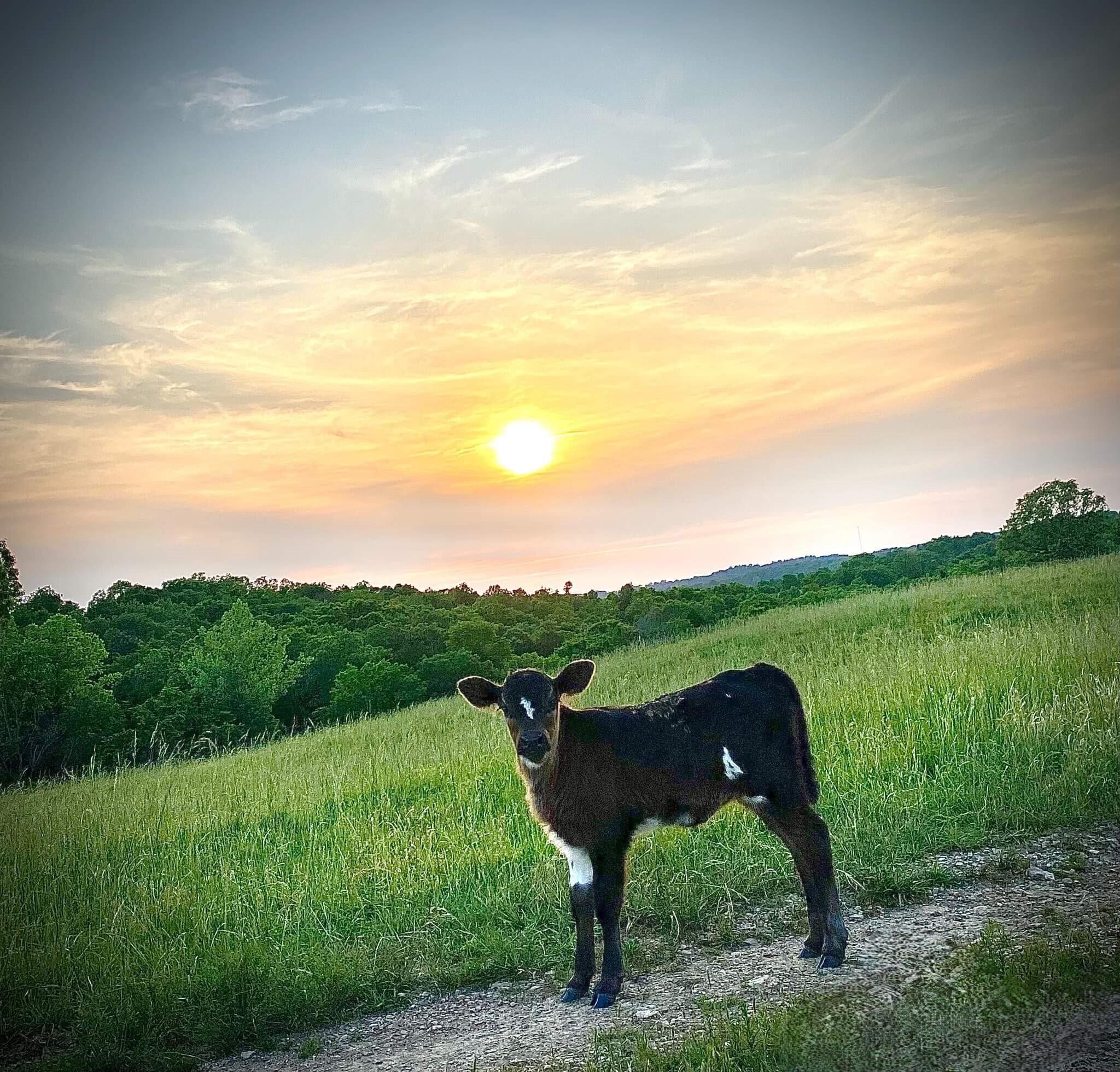 N/A - Farm