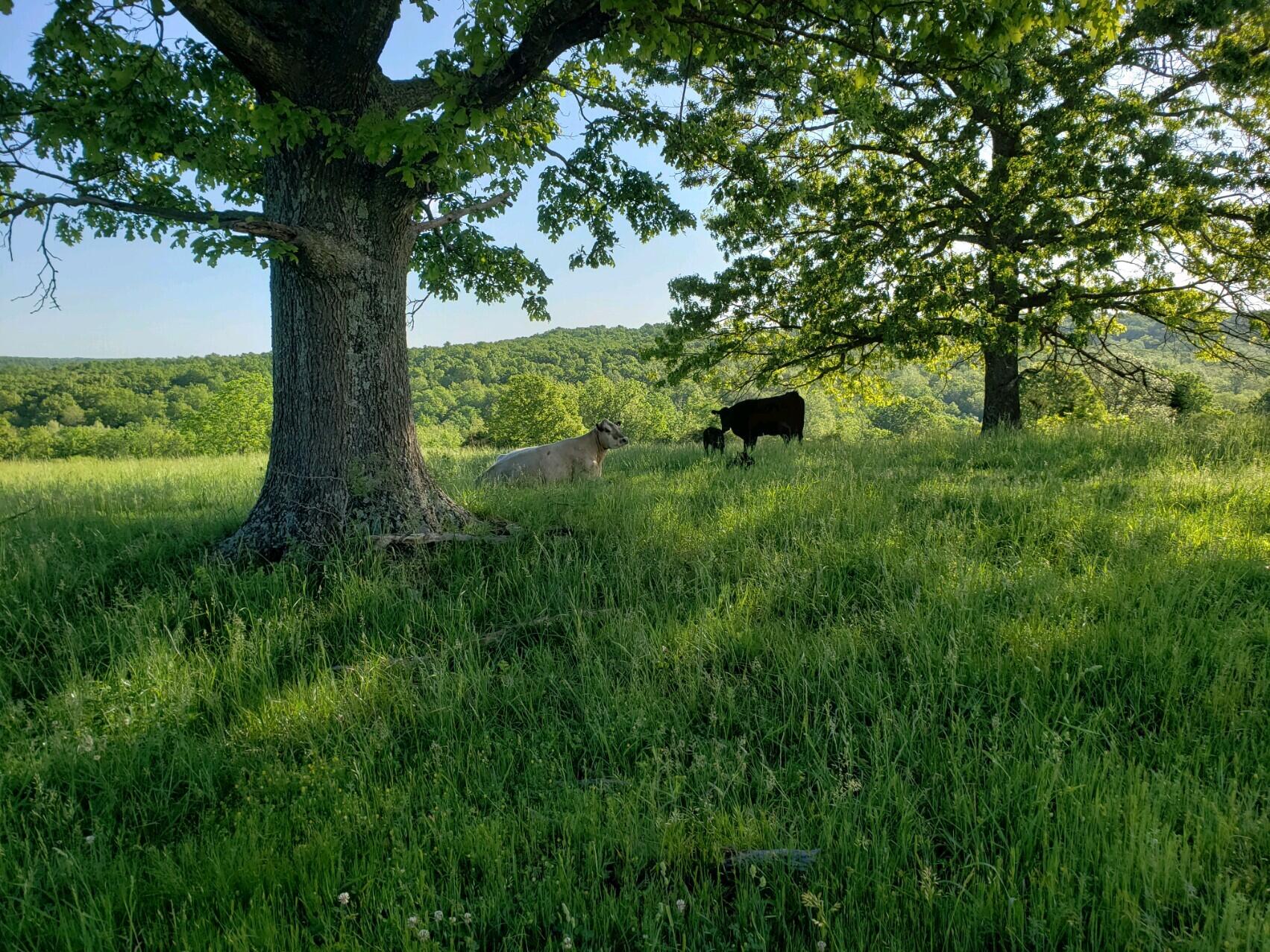 N/A - Farm