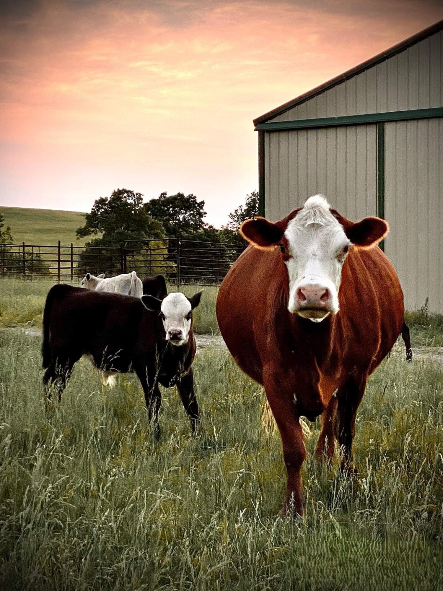 N/A - Farm