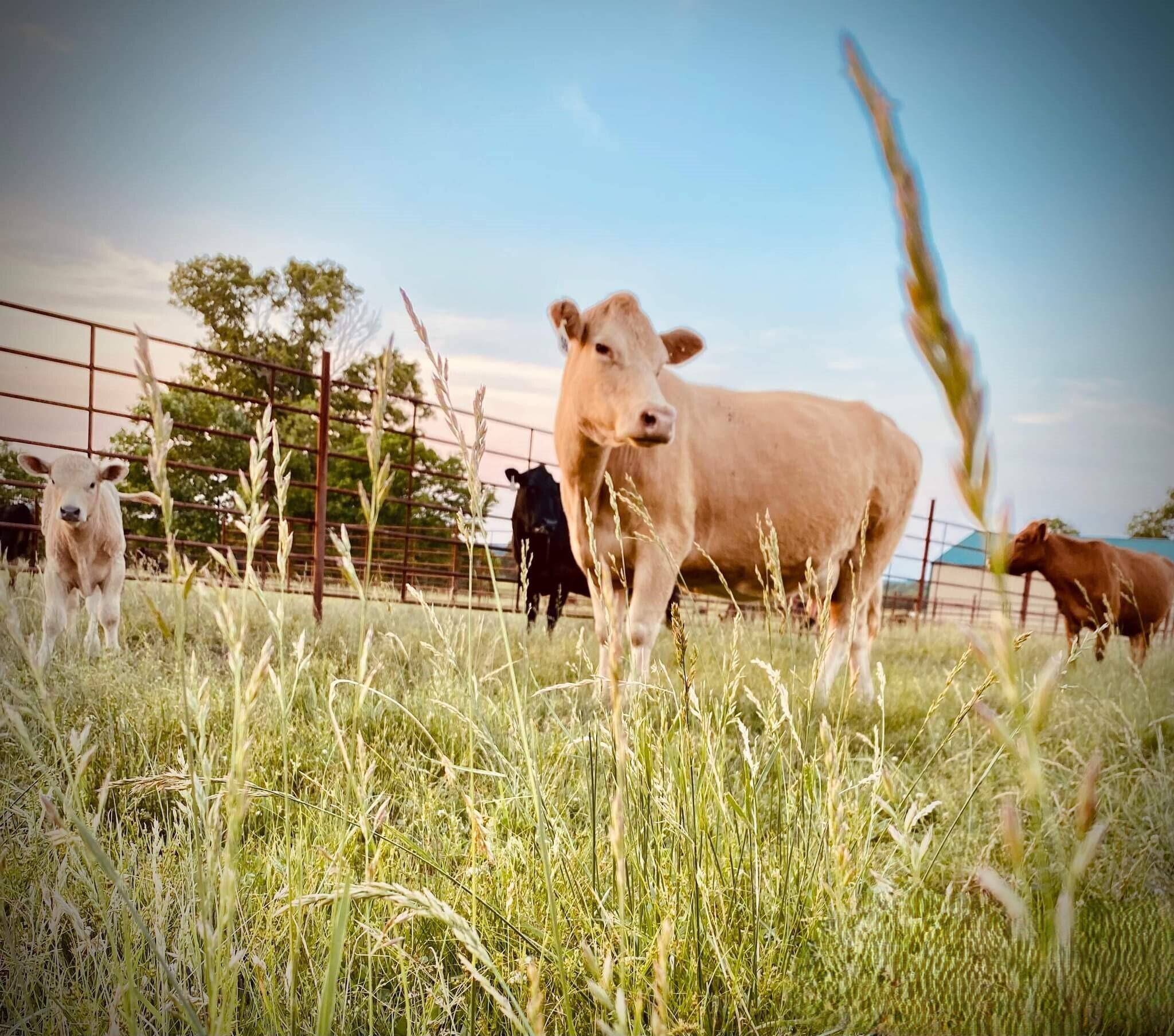 N/A - Farm