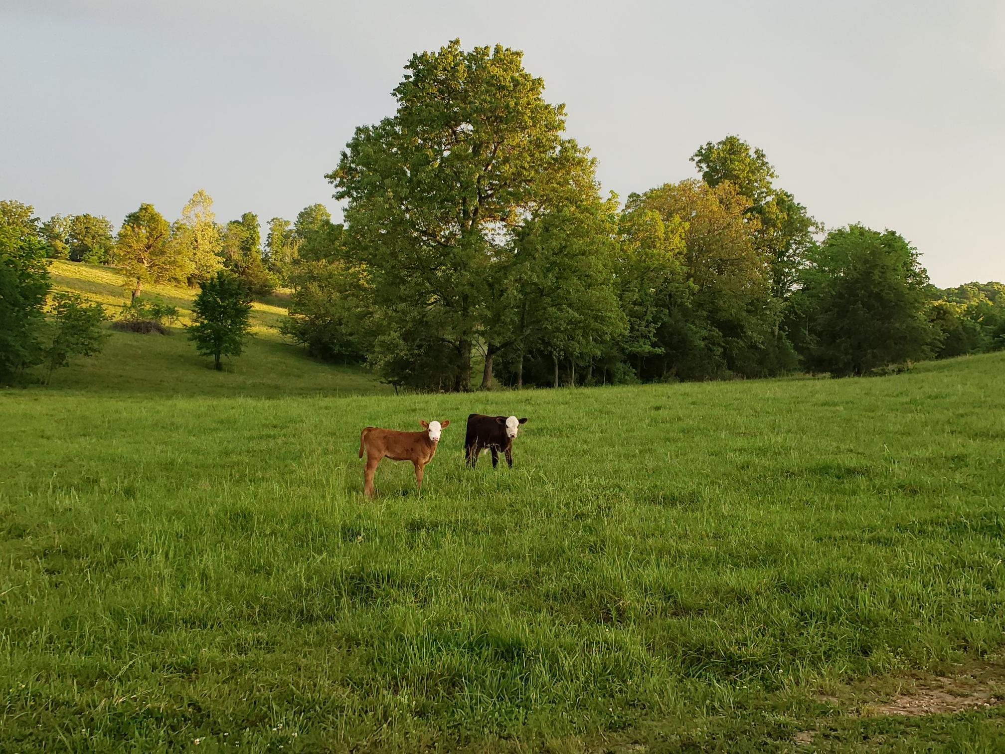 N/A - Farm