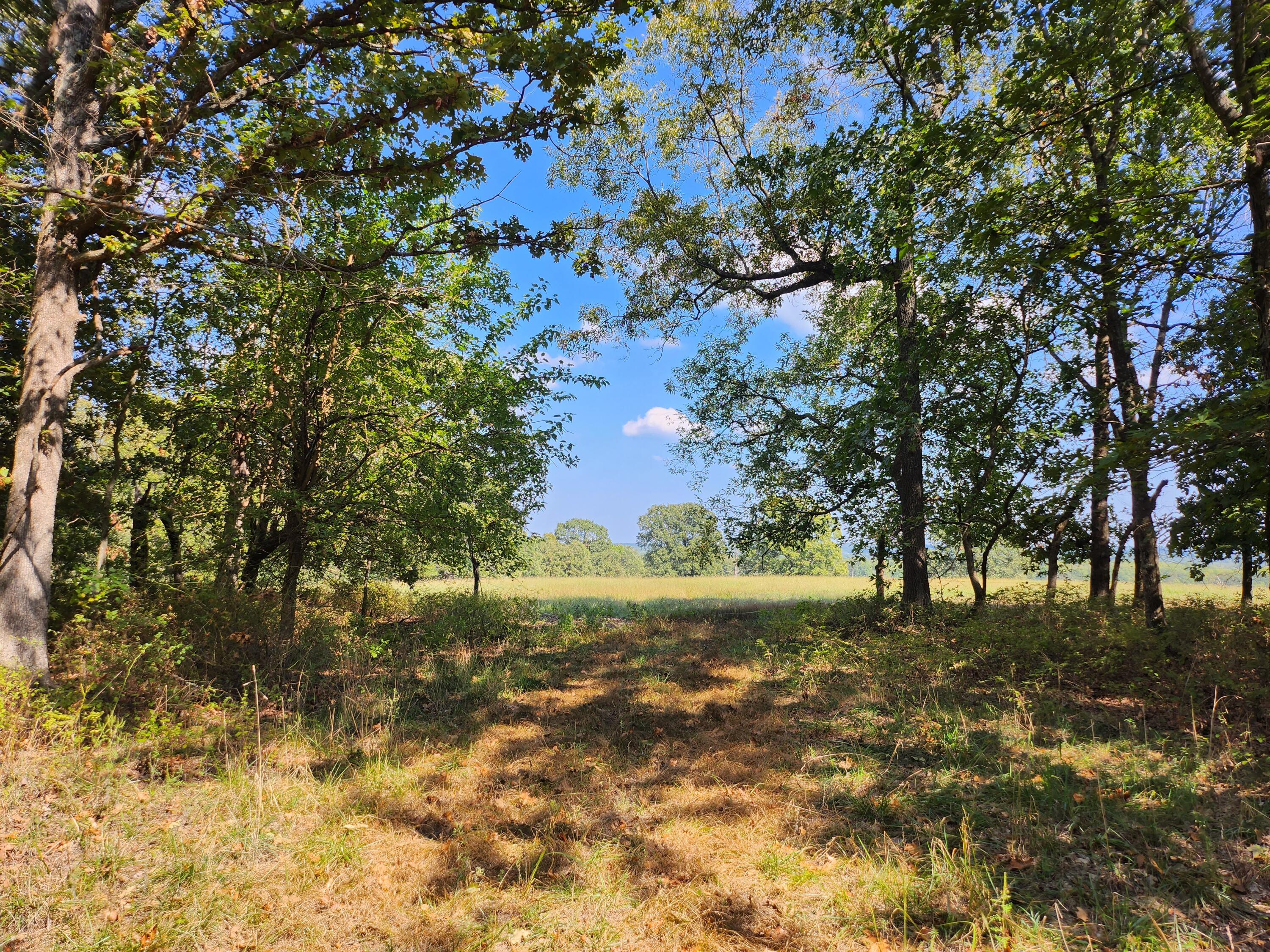 This is a hunters paradise. This 228+/- acres is conveniently located less than 10 miles North of Bolivar on Hwy 83.  There are multiple trails through the wooded portion for great hunting.   The views are incredible for a cabin or to build your new home.