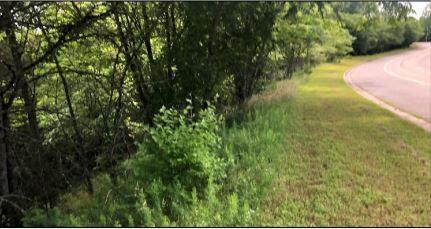 Branson Hills - Commercial Sale