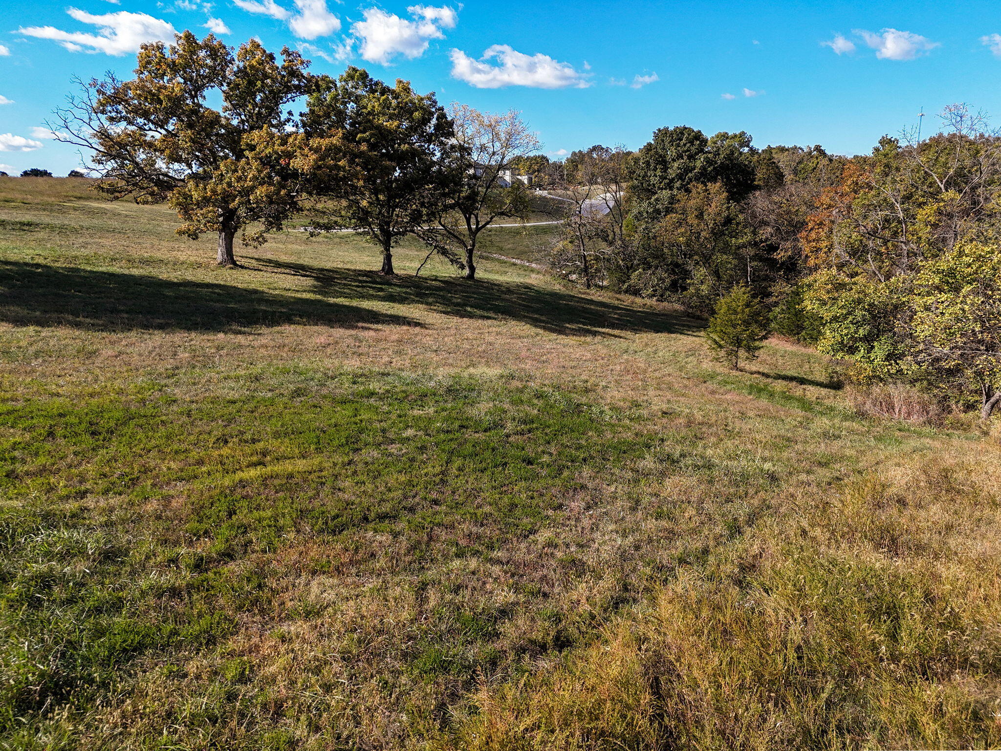 Riverdale Ridge - Land
