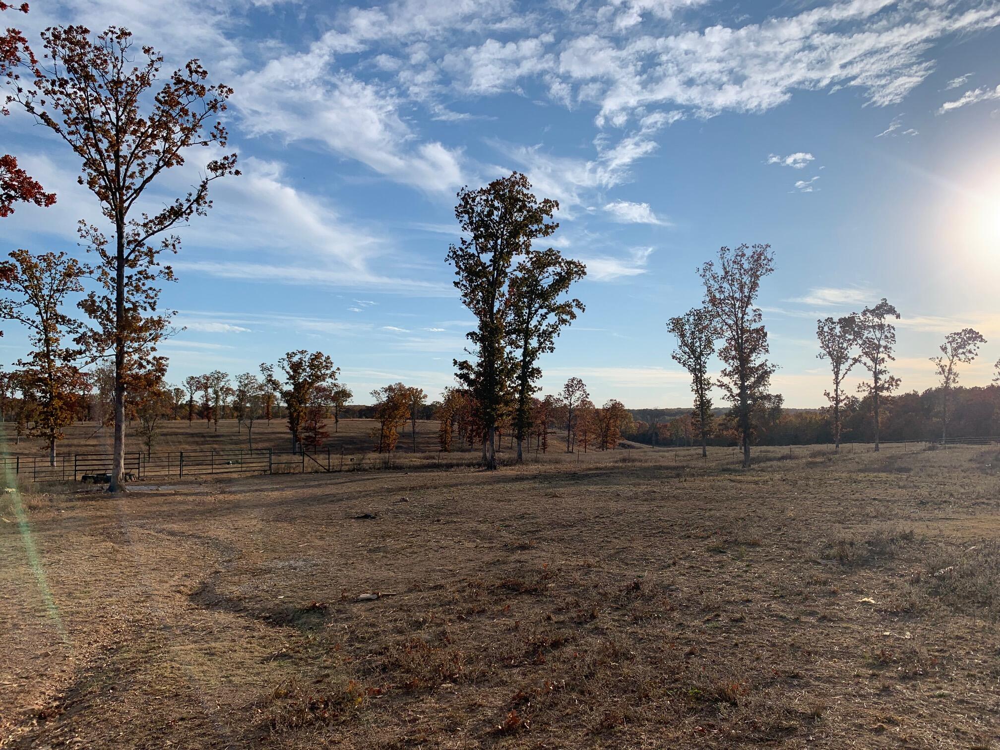 This one is for the horse lovers! This 91+/- acre property has so much to offer. There is a fully functioning outdoor riding arena that includes an announcer's booth, concession stand, restrooms, covered seating and pavilion. There is a large coral holding pin in place with waterers. Along with a 60x125 steel framed hay barn. There is a possibility for more acreage and additional barn.