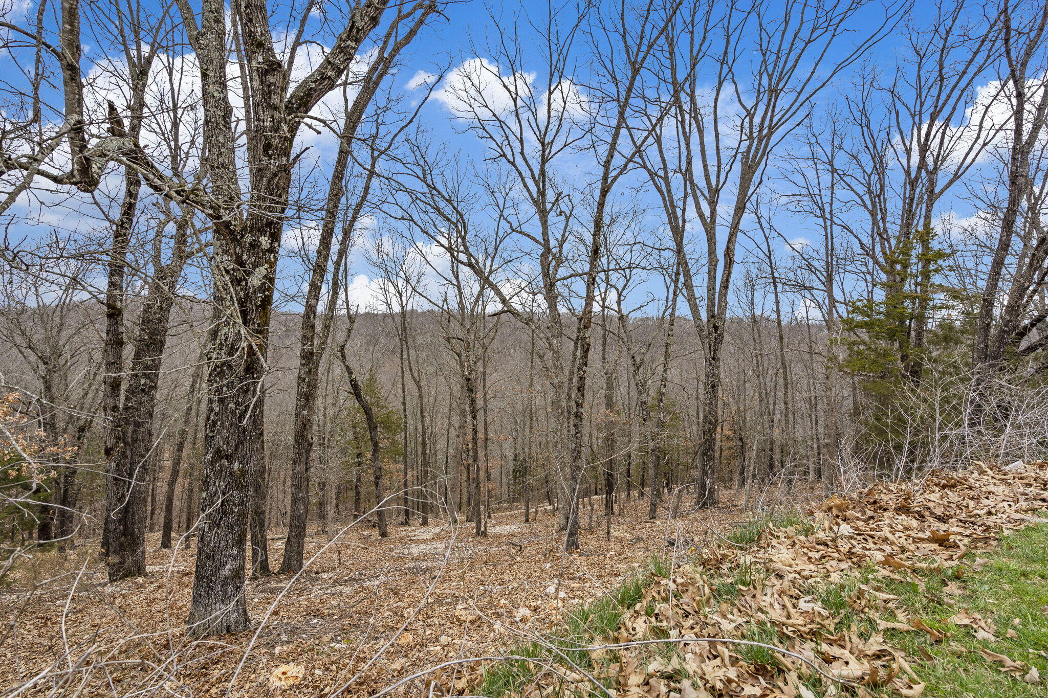 The Meadows at Hidden Springs - Residential