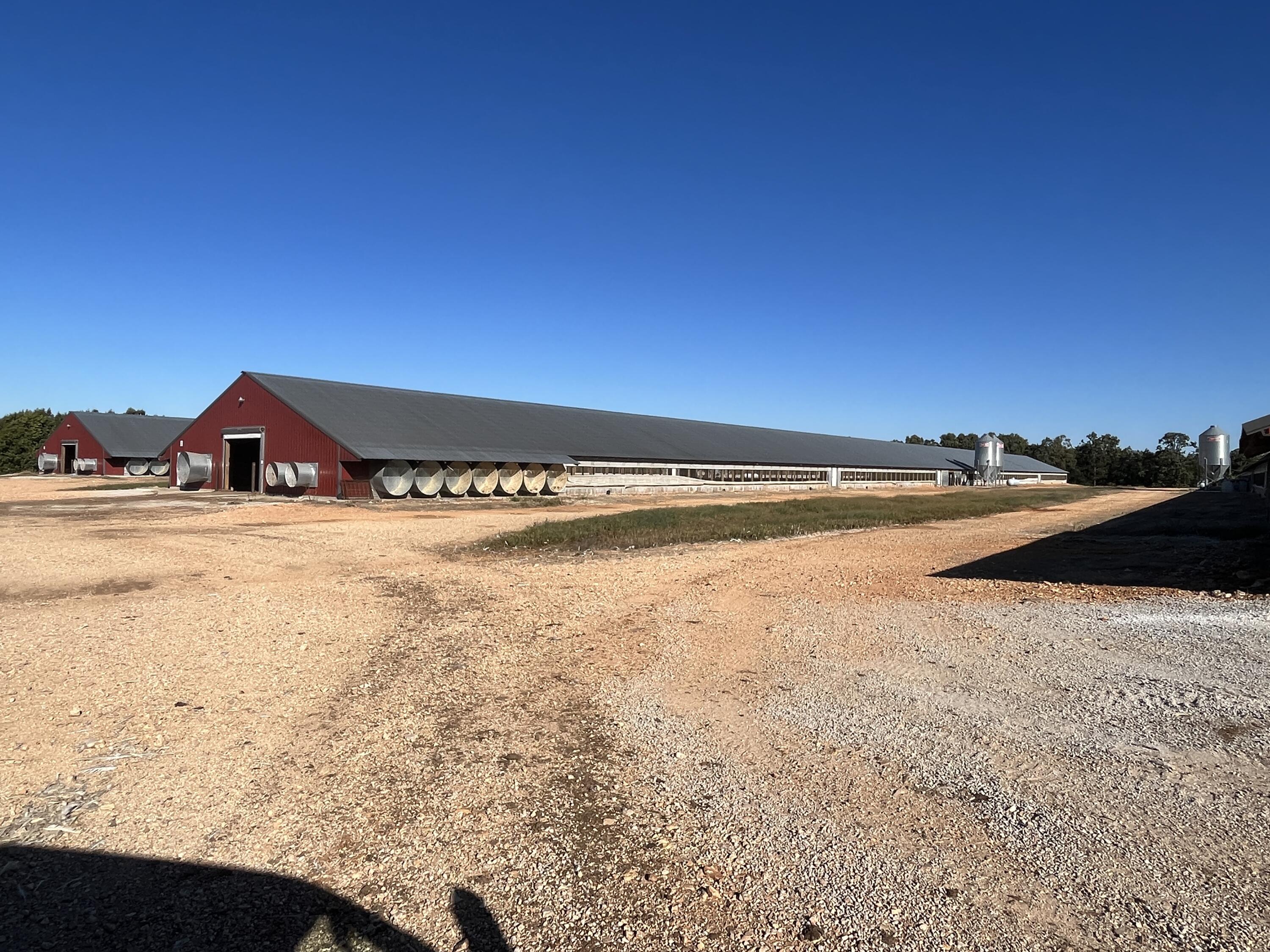 N/A - Farm
