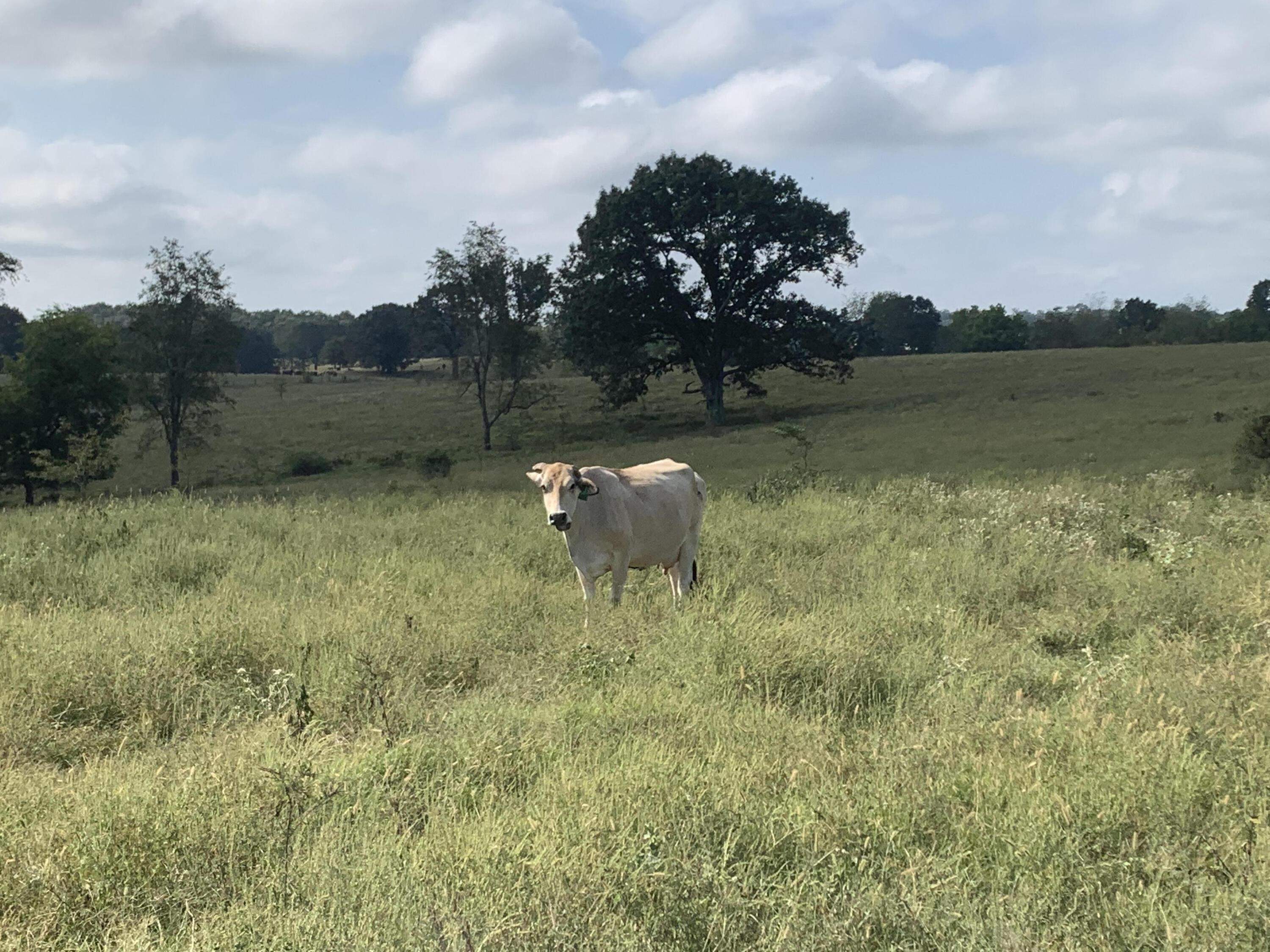 N/A - Farm