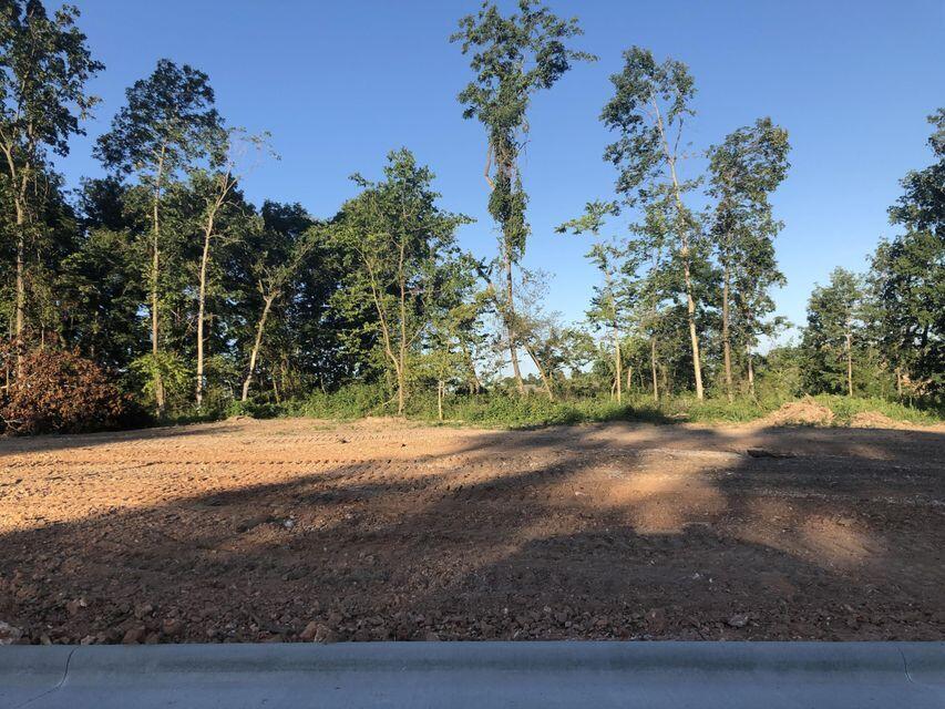 Wonderful new addition in Anthony Park has over 50 fabulous lots, neighborhood pool and amenities. Close to area hospitals, shopping, and schools.