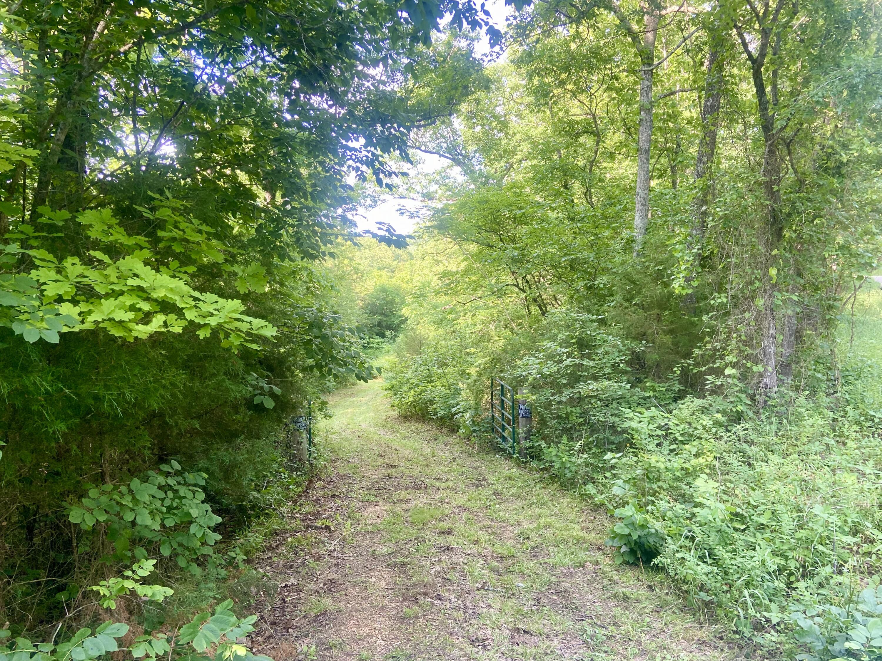 This secluded property is located less than 10 miles from Theodosia, MO, Bull Shoals Lake access, and also minutes away from Mark Twain National Forest. The property frontage is on Stehle Rd, a paved county road. There is a primitive road that runs through the property and opens up to a beautiful area that would be perfect for building a home or setting up camp. This property is a bow hunter's dream. Big Creek is within walking distance. A wet water creek also flows through property. Two outbuildings, both of no assessed value, include a metal sided shed and a roofed structure with no walls.This property has been surveyed.Owner-agent