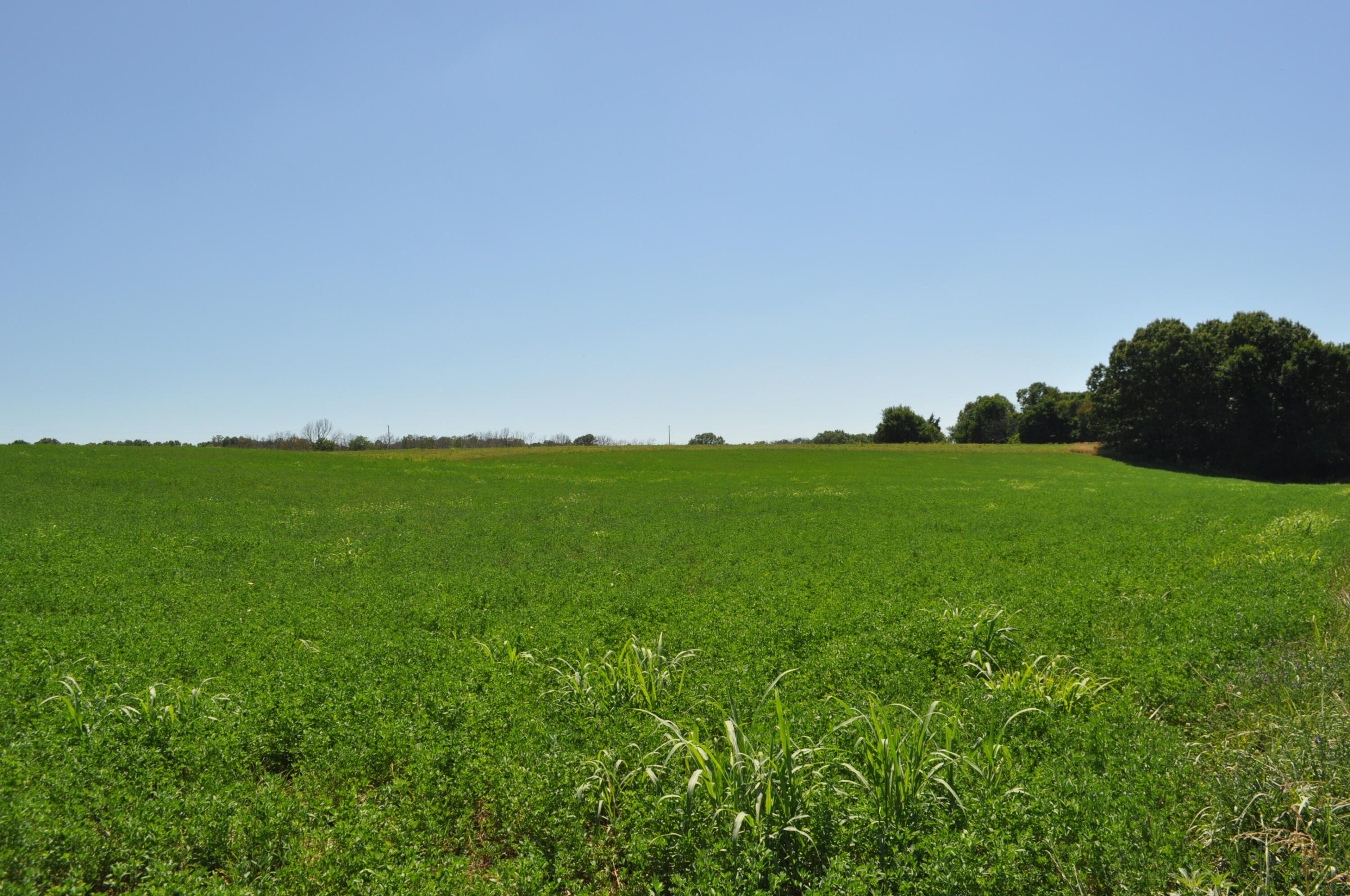 N/A - Farm