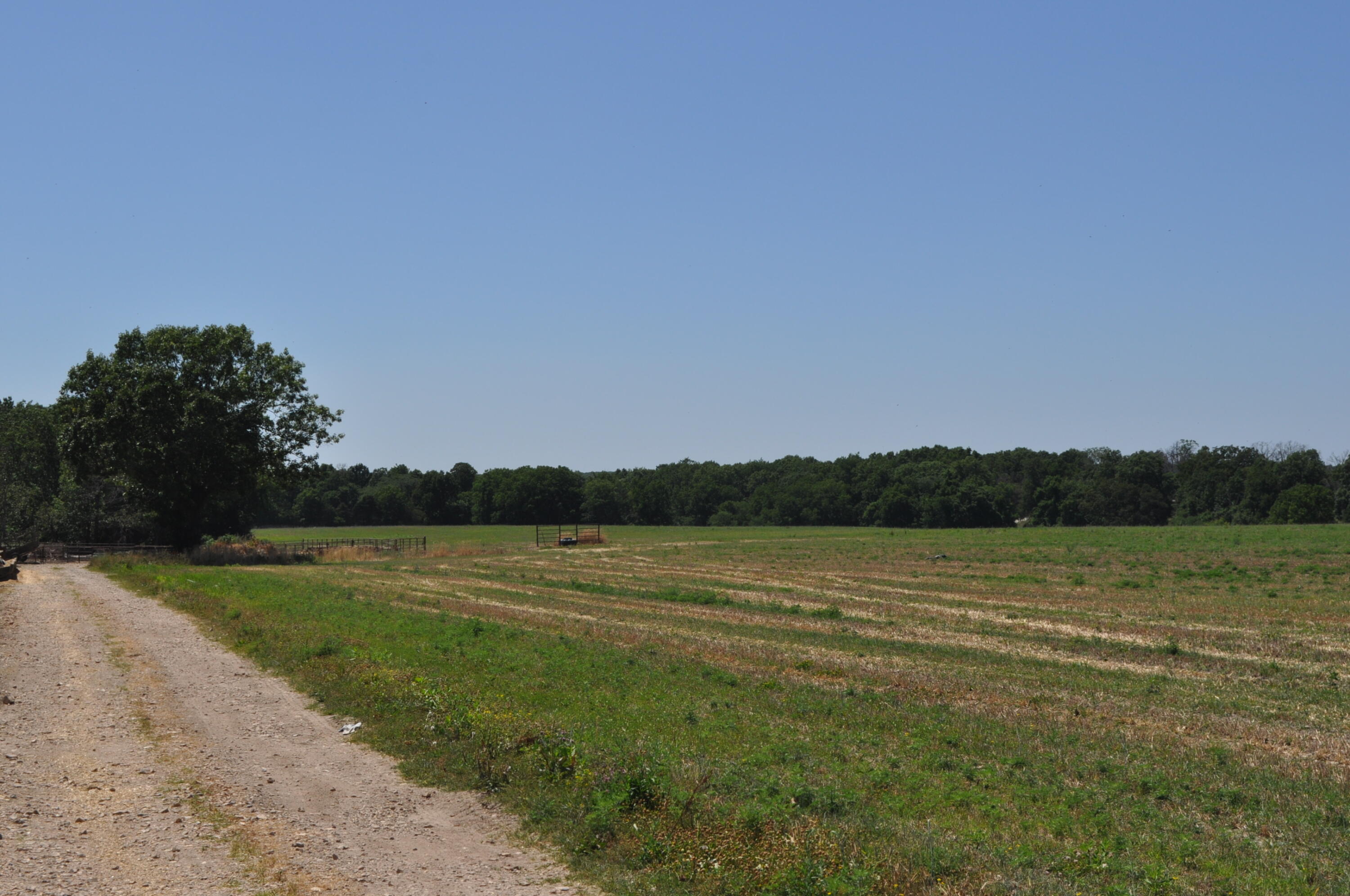 N/A - Farm