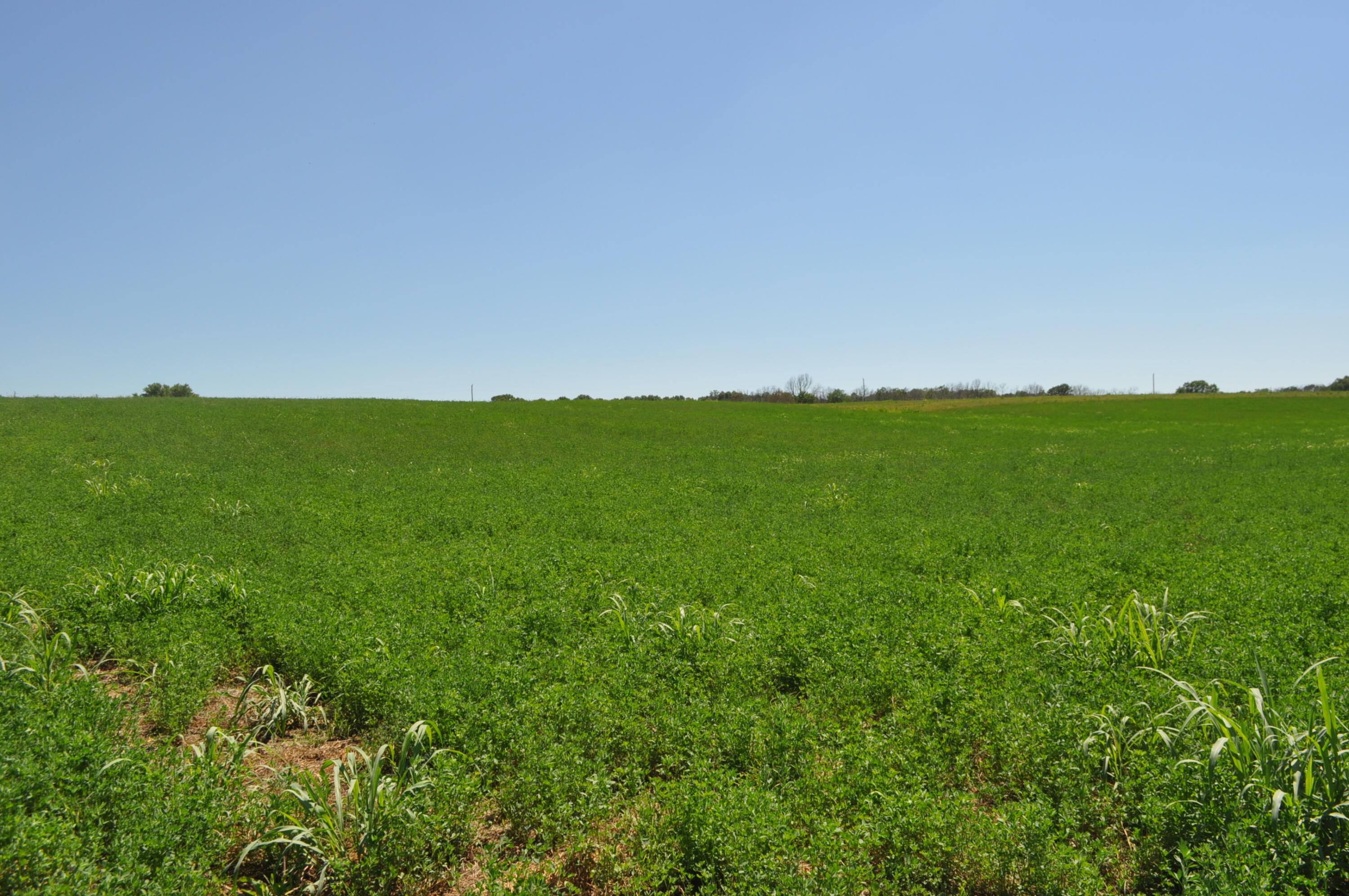 N/A - Farm
