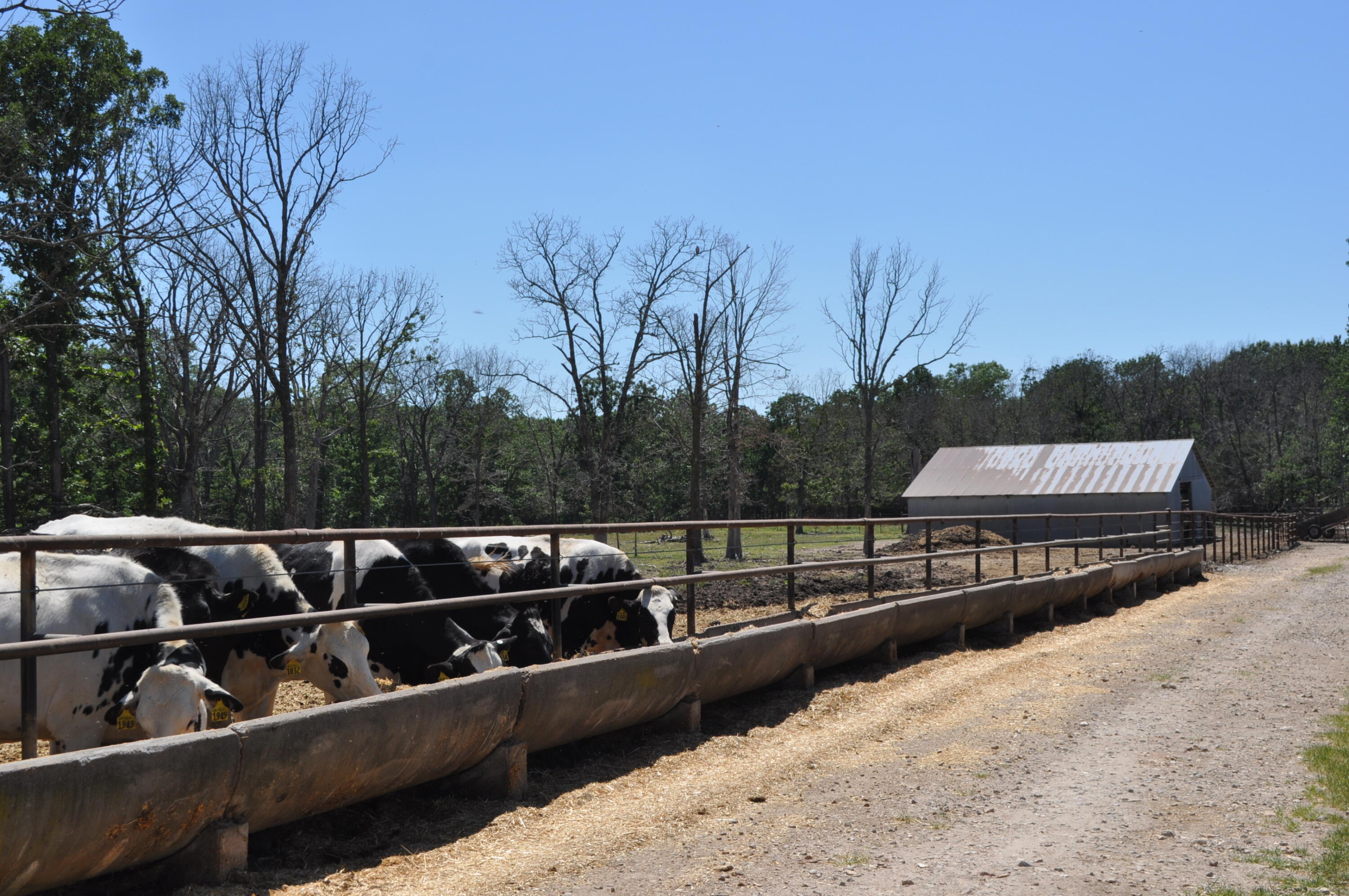 N/A - Farm