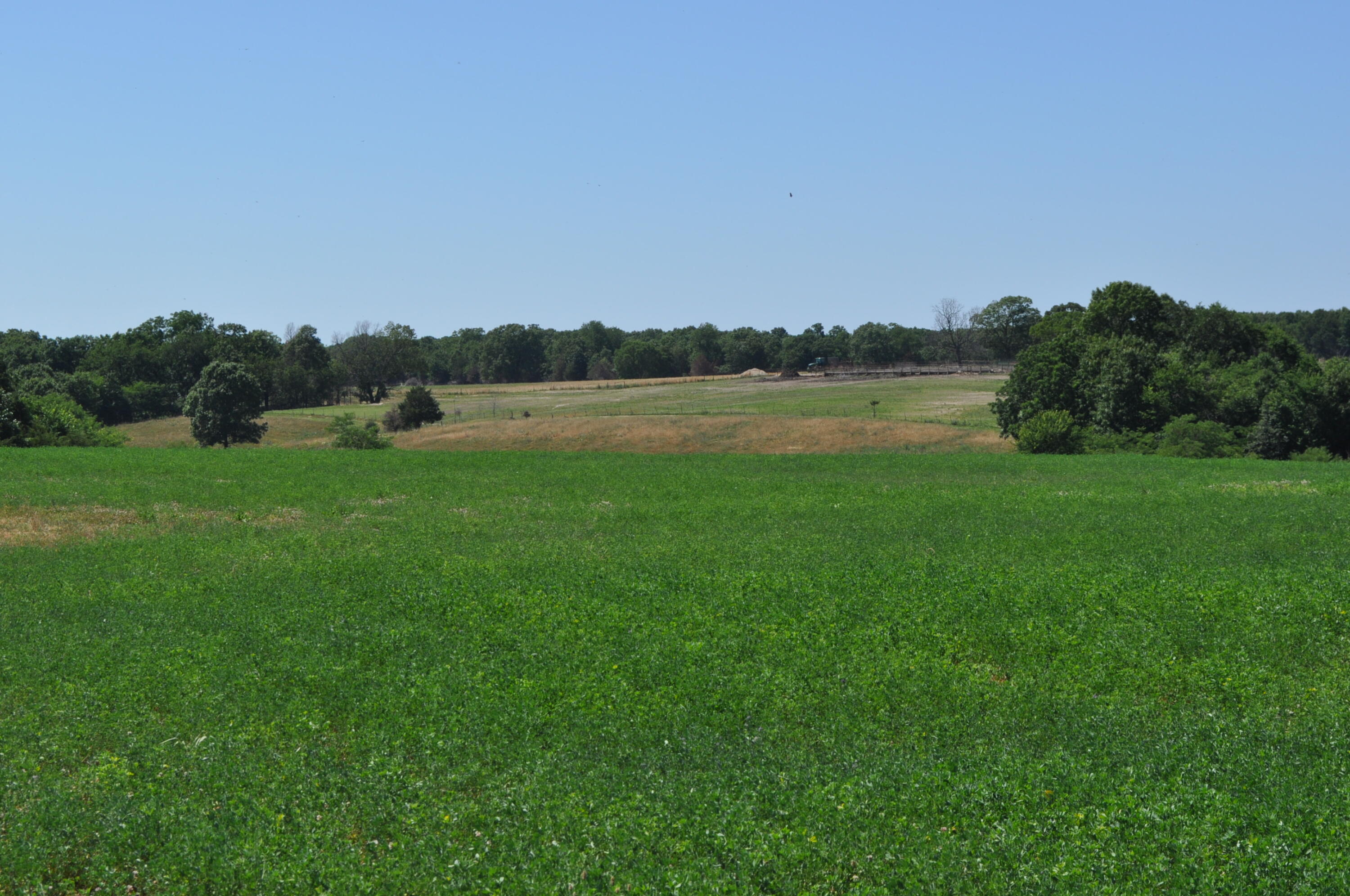 N/A - Farm