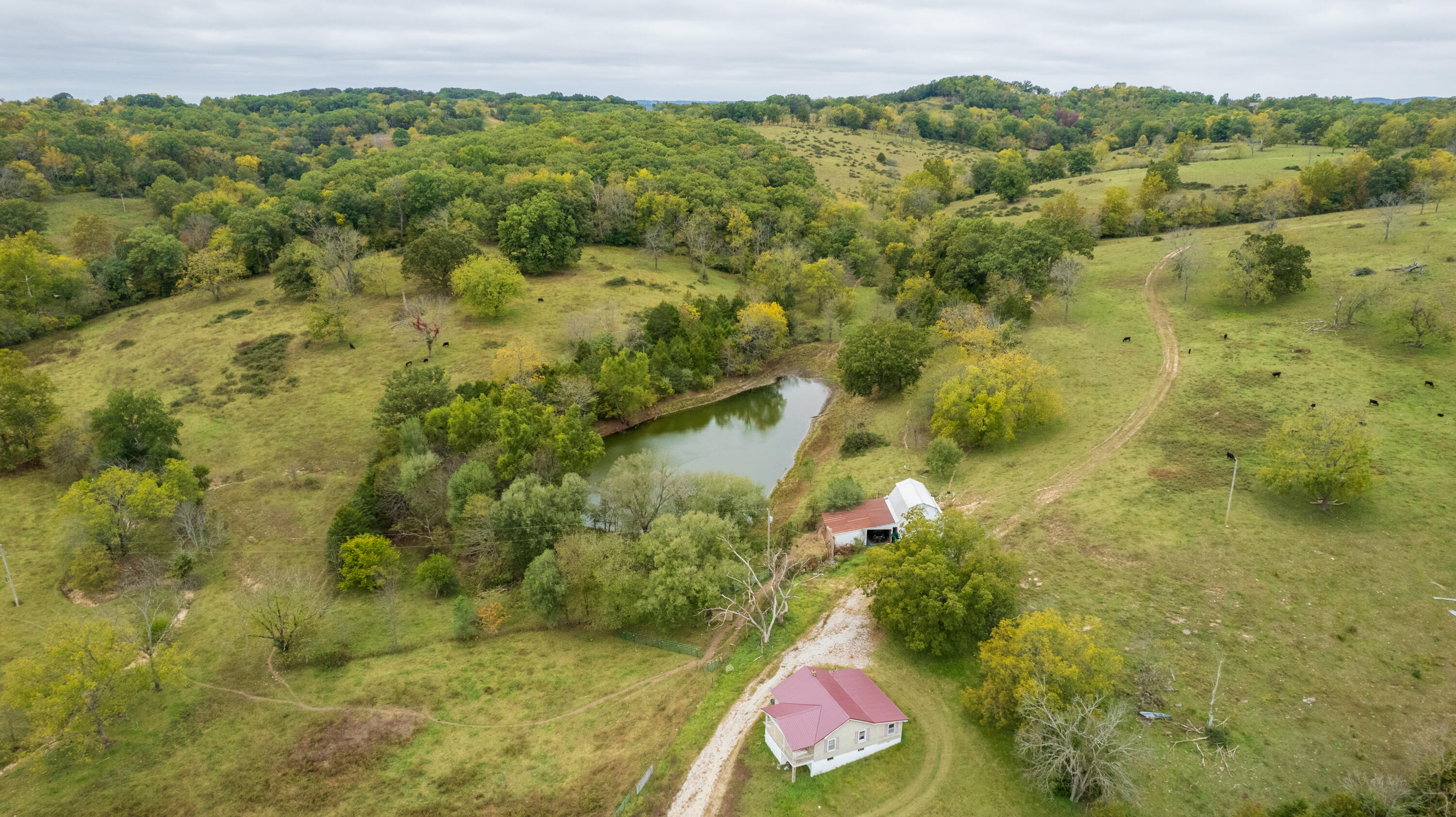 Exceptional cattle farm on 185 acres with a 1 acre+/- stocked pond/lake, there are a few springs and another pond. Rolling pasture fields with perimeter and cross fencing. Property is about 1 mile out of city limits, convenient location to schools and shopping, yet very quiet country living. Home has  ewer roof, open living areas, hardwood and carpeted flooring, wood stove and an old fashioned front porch. Basement for mechanics and storage, inside/outside access. Mature woods with some marketable walnut trees. Hard to find farmland for pasture and yet woods for hunting and recreation.
