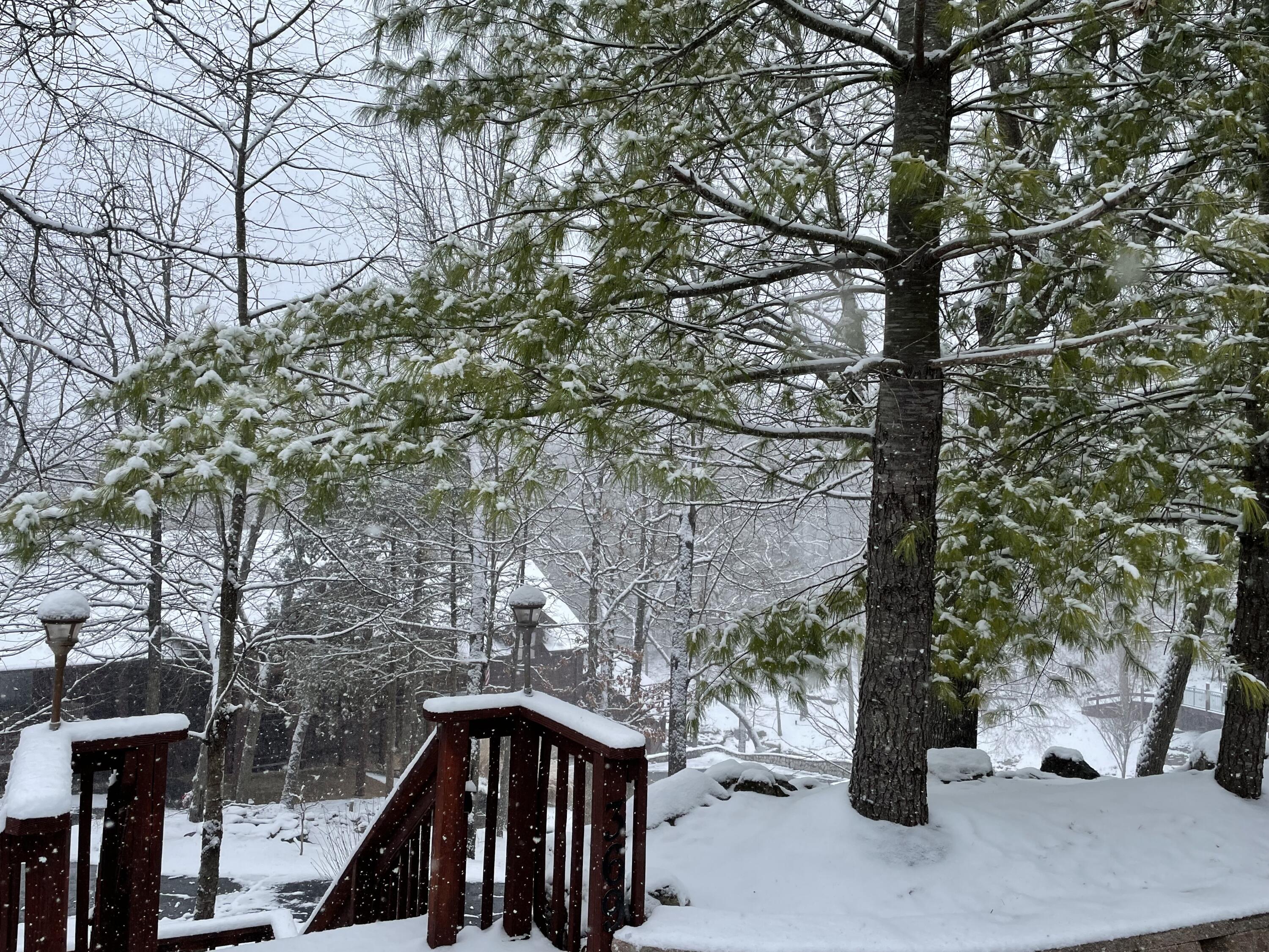 Table Rock Terrace - Residential