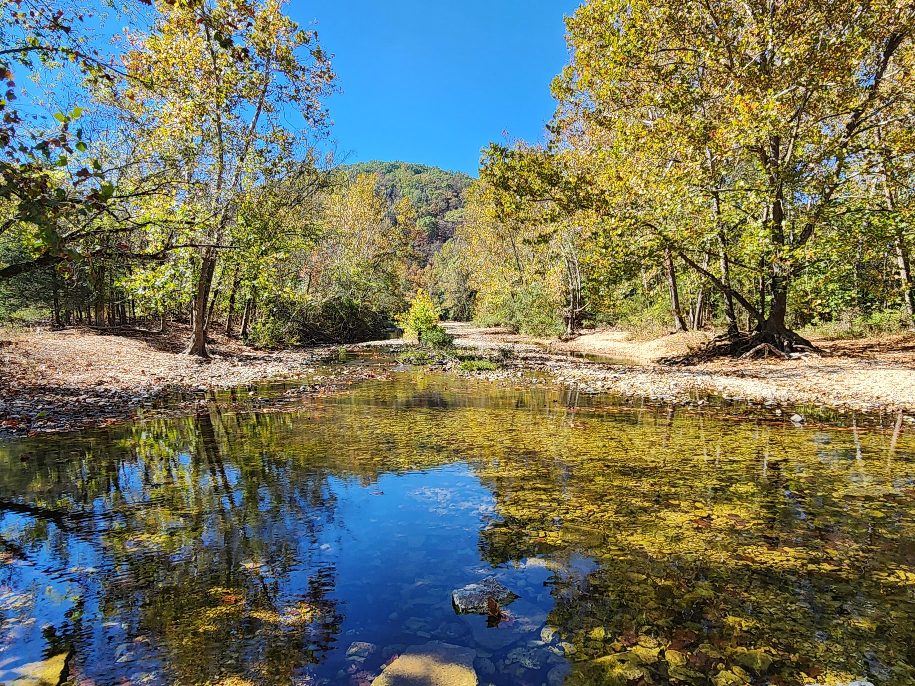 Located on Swan Creek, this secluded place has so much to offer.  You enter the place off of Swan Creek, and as you come in the scenic area will be your place. The home is surrounded by views and quality pipe fencing.  Swan Creek runs over 1/2 mile through the property.  The national forest borders 1/4 quarter mile of the west side, 1/4 mile of the north side and 1/4 mile of the east side.  The property has a good mixture of open pasture, hay ground and wooded area, featuring multiple springs.  Pipe fencing surrounds the home and continues around a large lot that includes a pen area.  There is a 5 bay storage/machinery shed.  The home has a kitchen, living, 2 bedrooms and a bath.  Close to the home is an inground storm shelter.  The shop has two deep bays and an attached living area.  This 192 acres m/l is well suited for various uses.  Whether your primary residence or second home, this place will be a farming, hunting and play place you will be proud of.  Many furnishings inside and out will be included.  There is more land available.