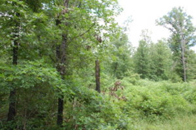 Photo 12 of 13 of Lot 2 State Highway JJ land