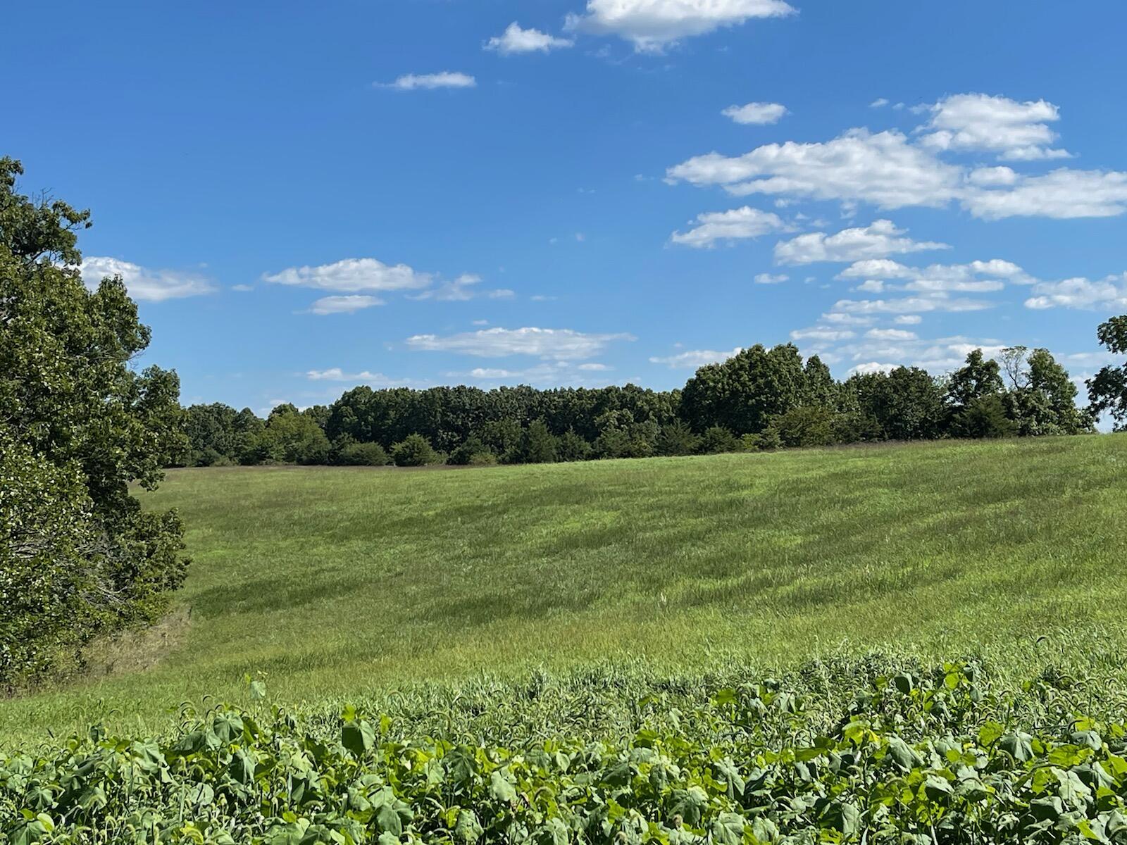 N/A - Farm