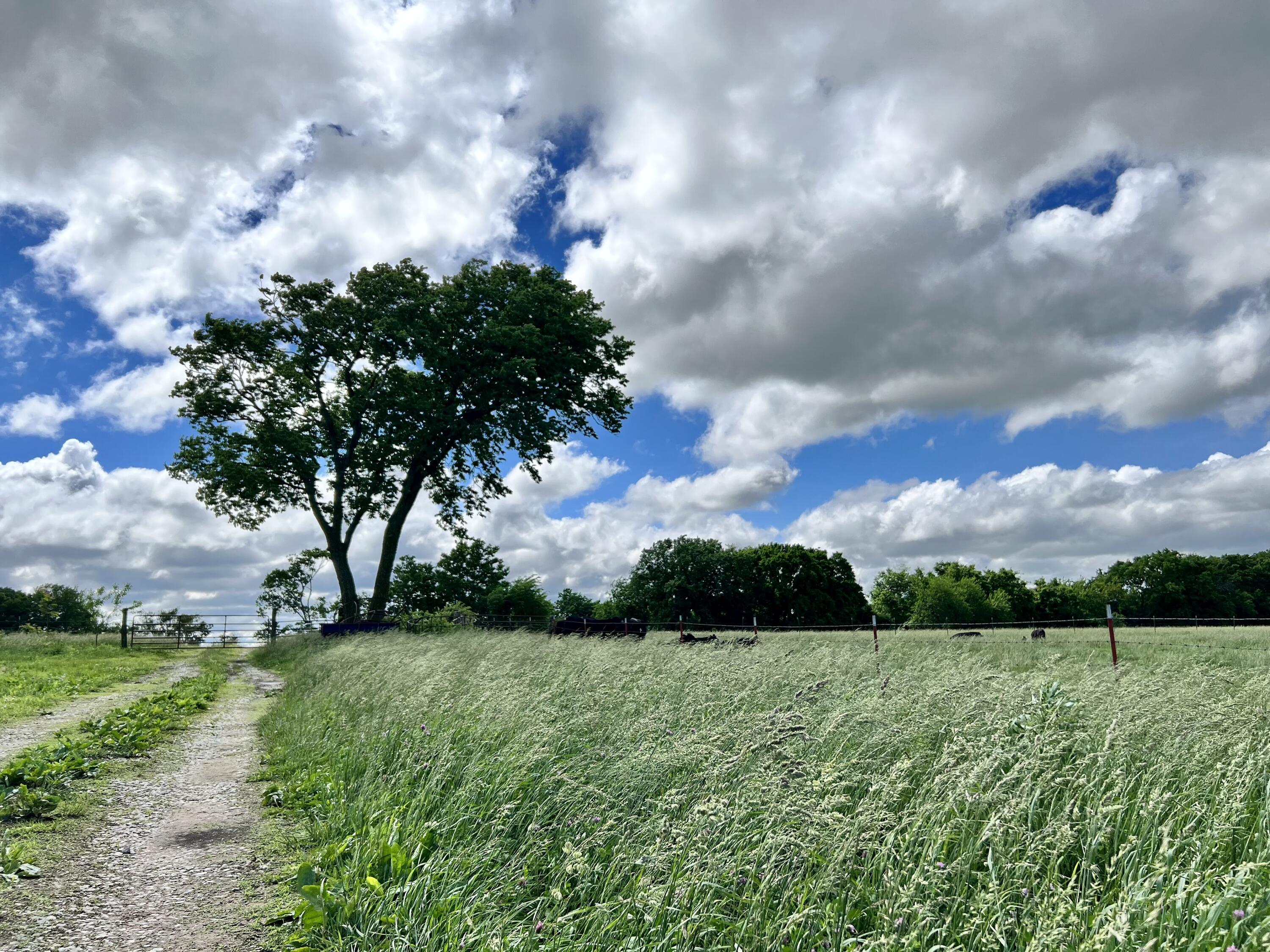 N/A - Farm